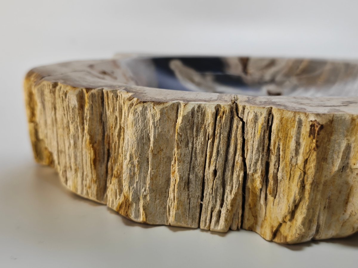 Petrified wood - imperf