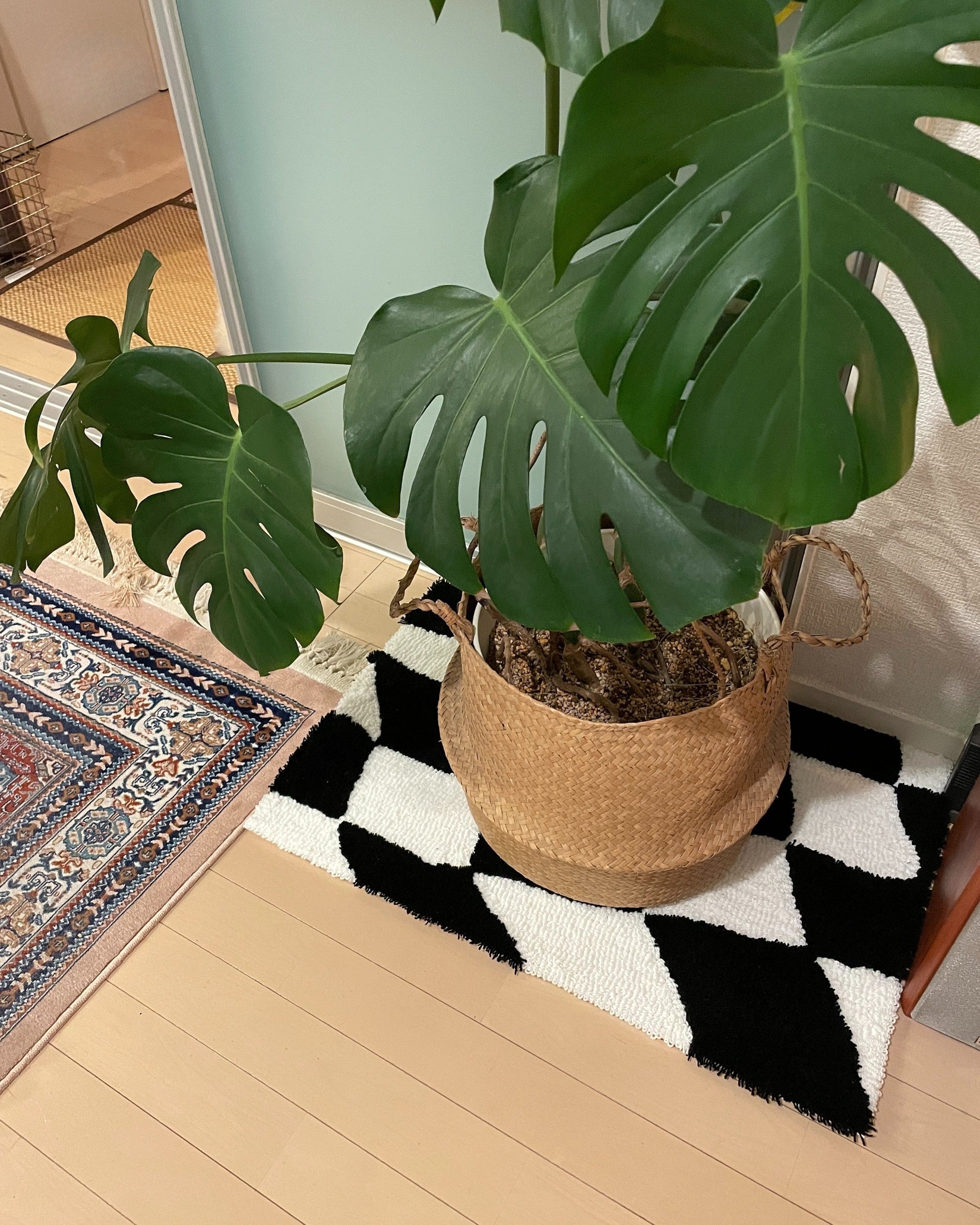 Wavy Check Rug