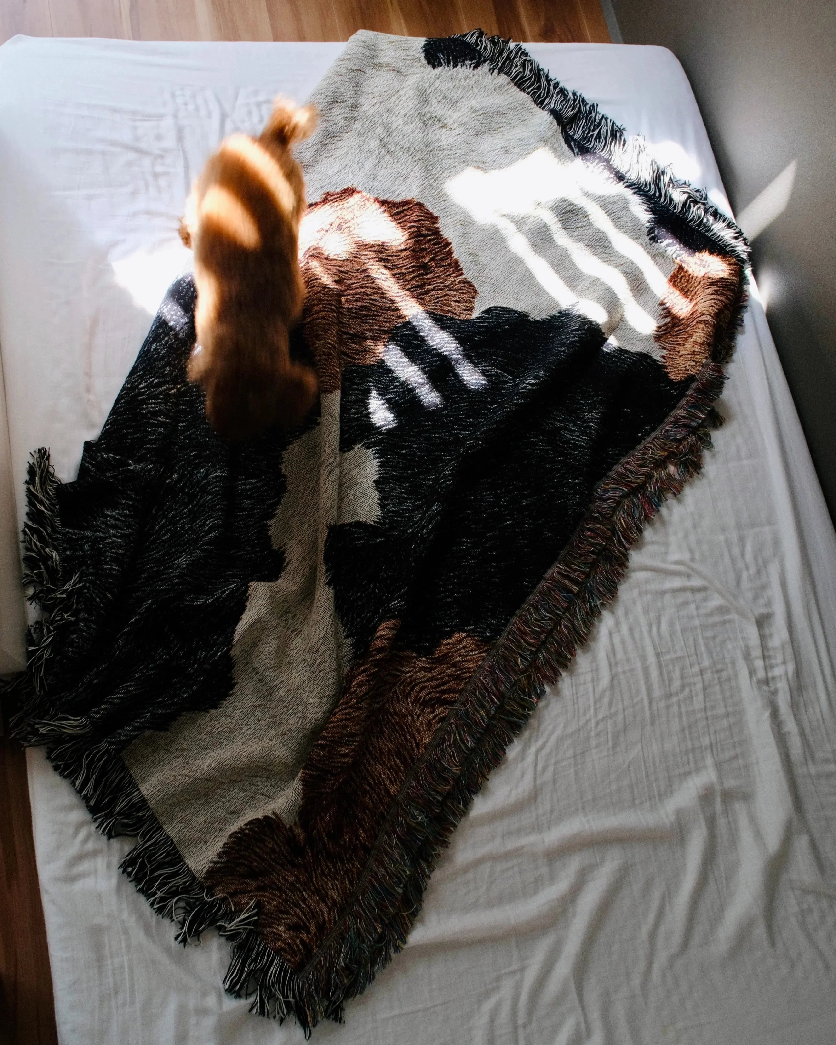 Cow Hide Throw Blanket : L