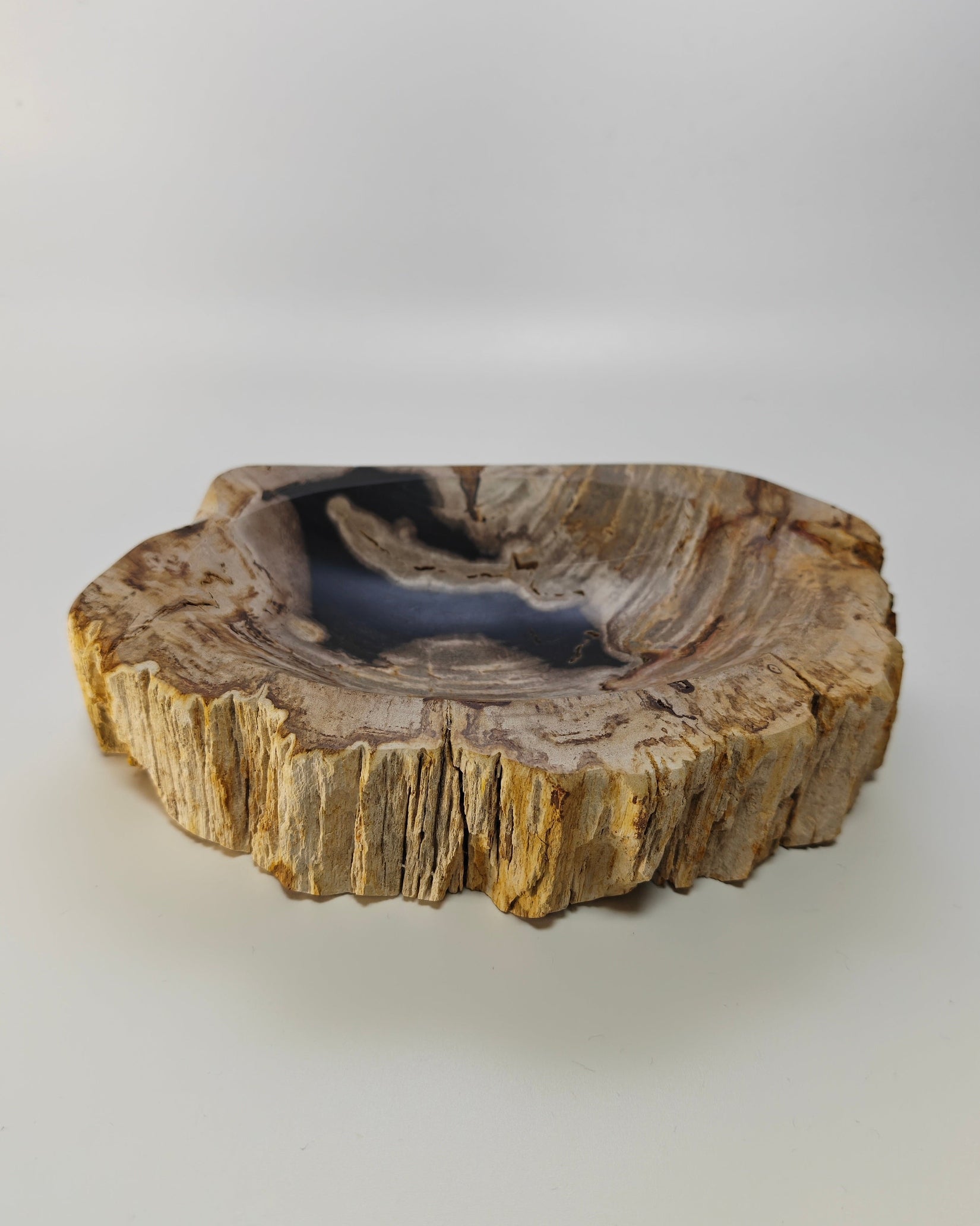 Petrified Wood Tray 001
