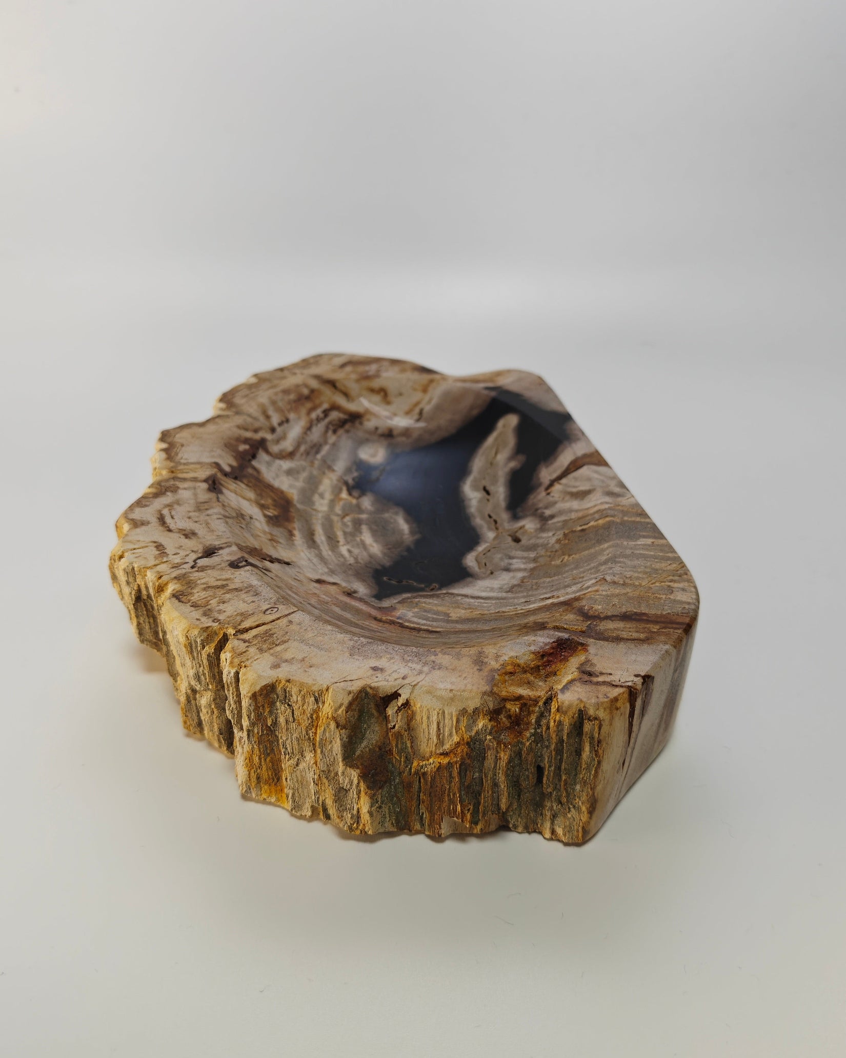 Petrified Wood Tray 001