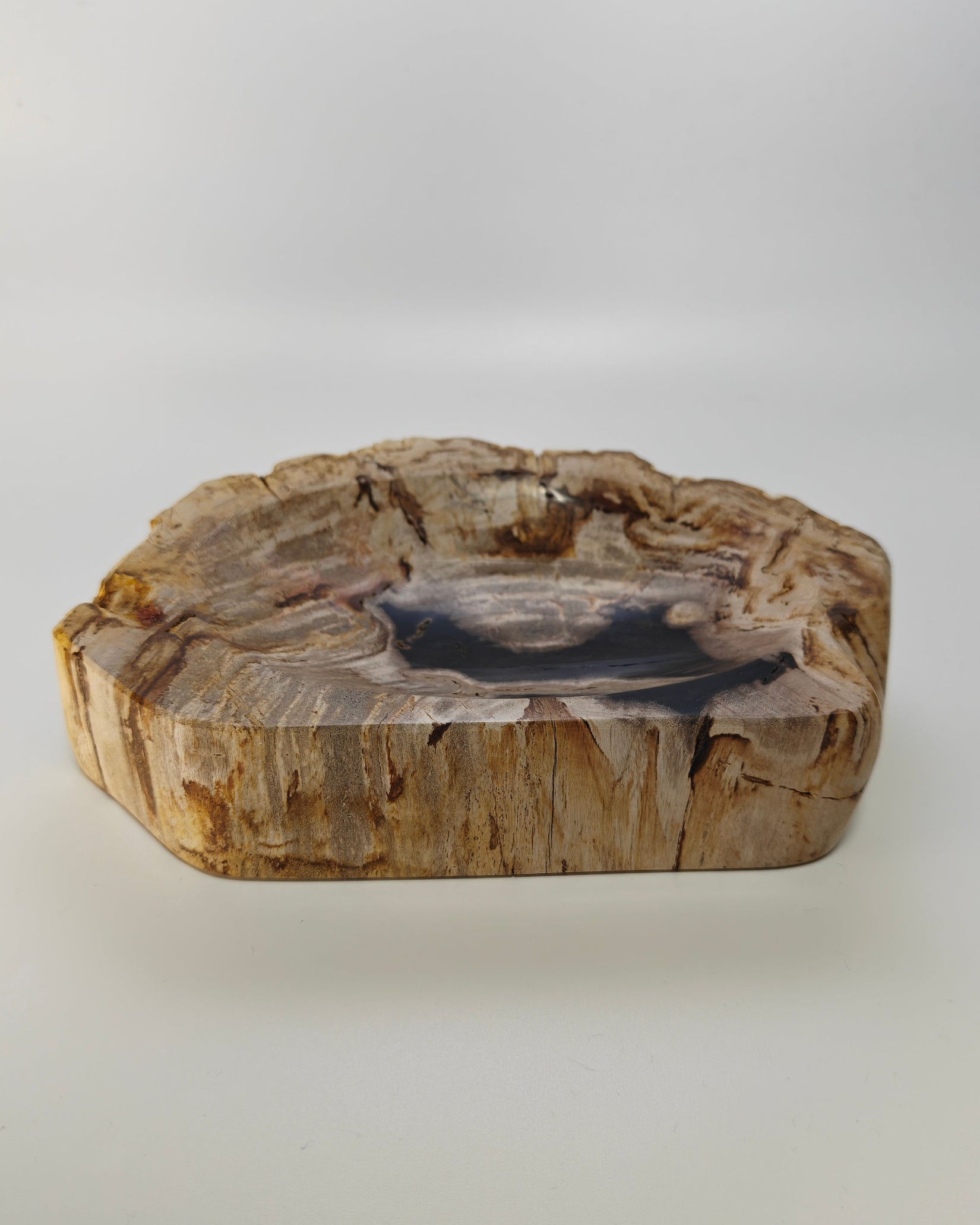 Petrified Wood Tray 001