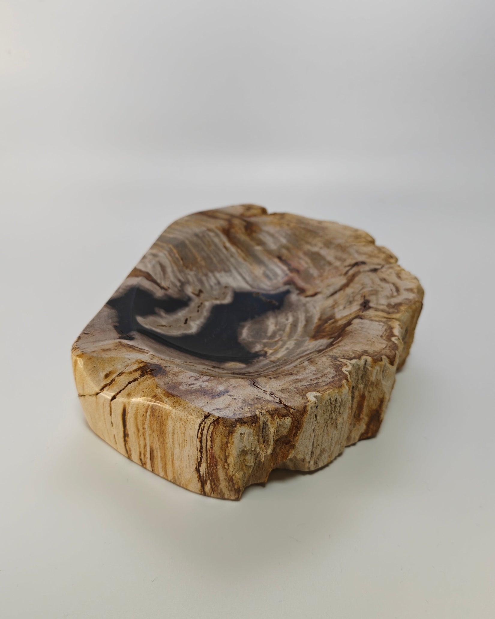 Petrified Wood Tray 001
