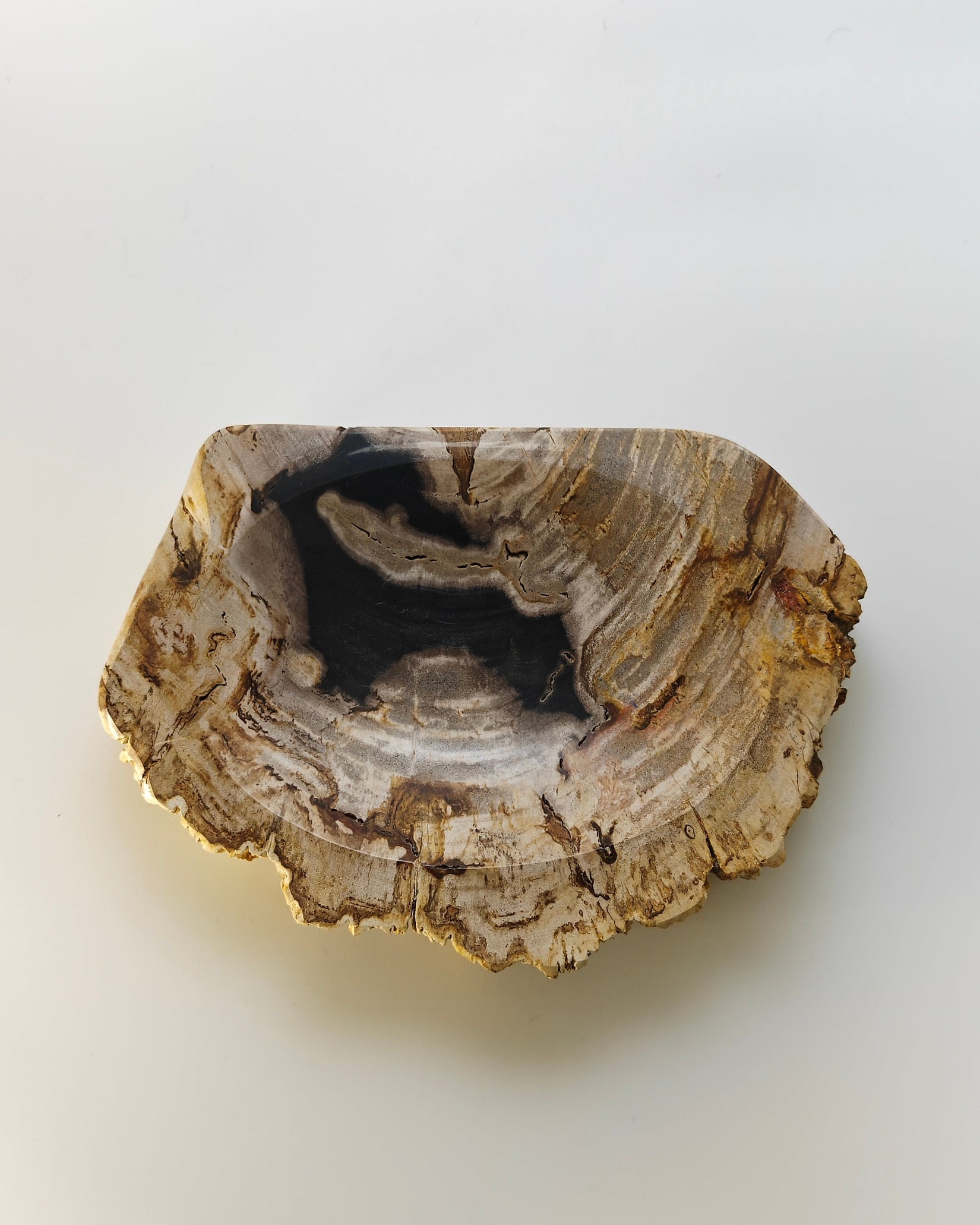 Petrified Wood Tray 001