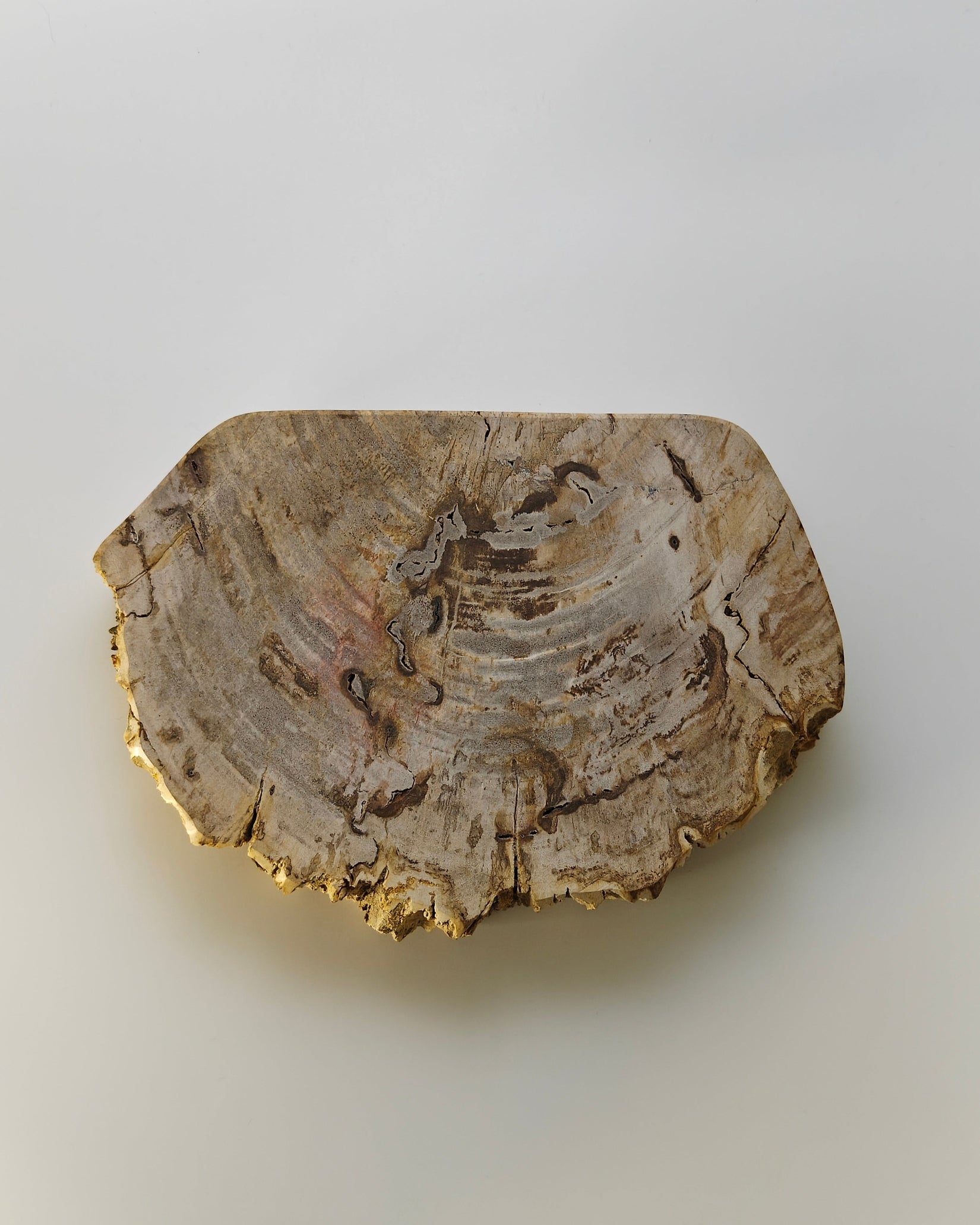 Petrified Wood Tray 001