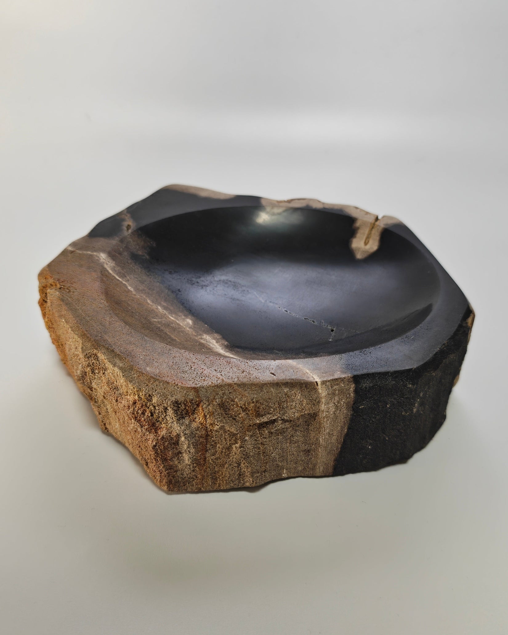 Petrified Wood Tray 002