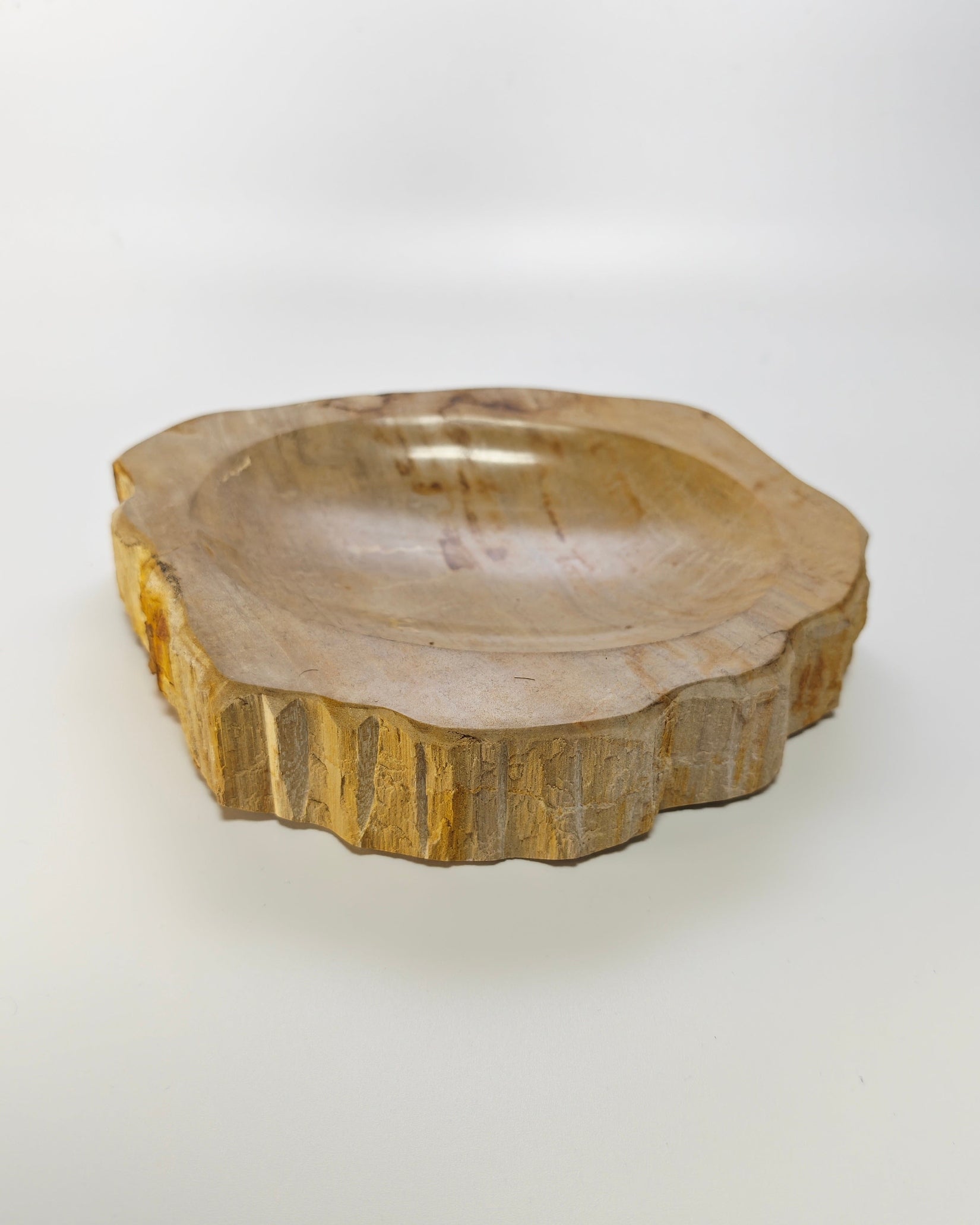 Petrified Wood Tray 003