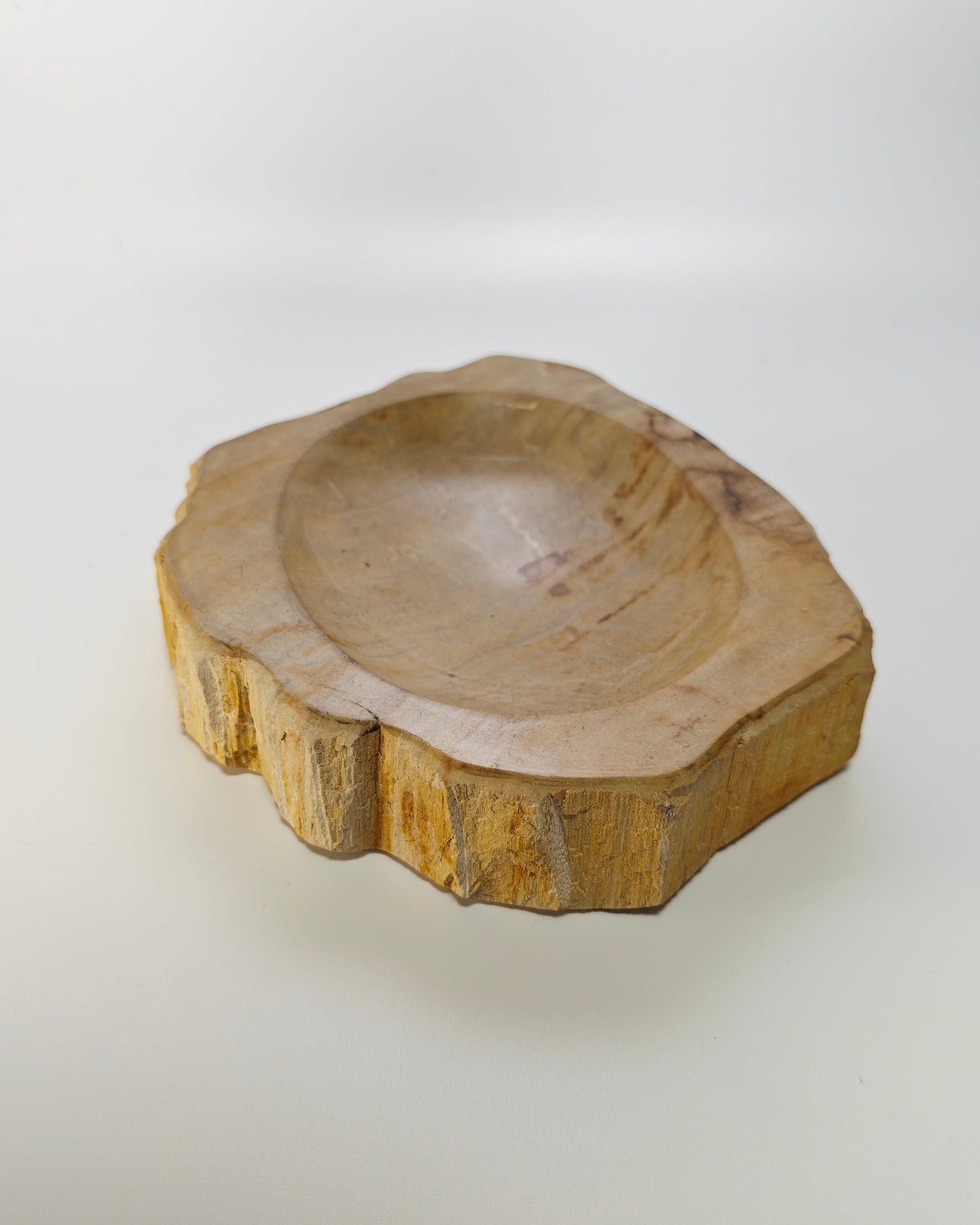 Petrified Wood Tray 003
