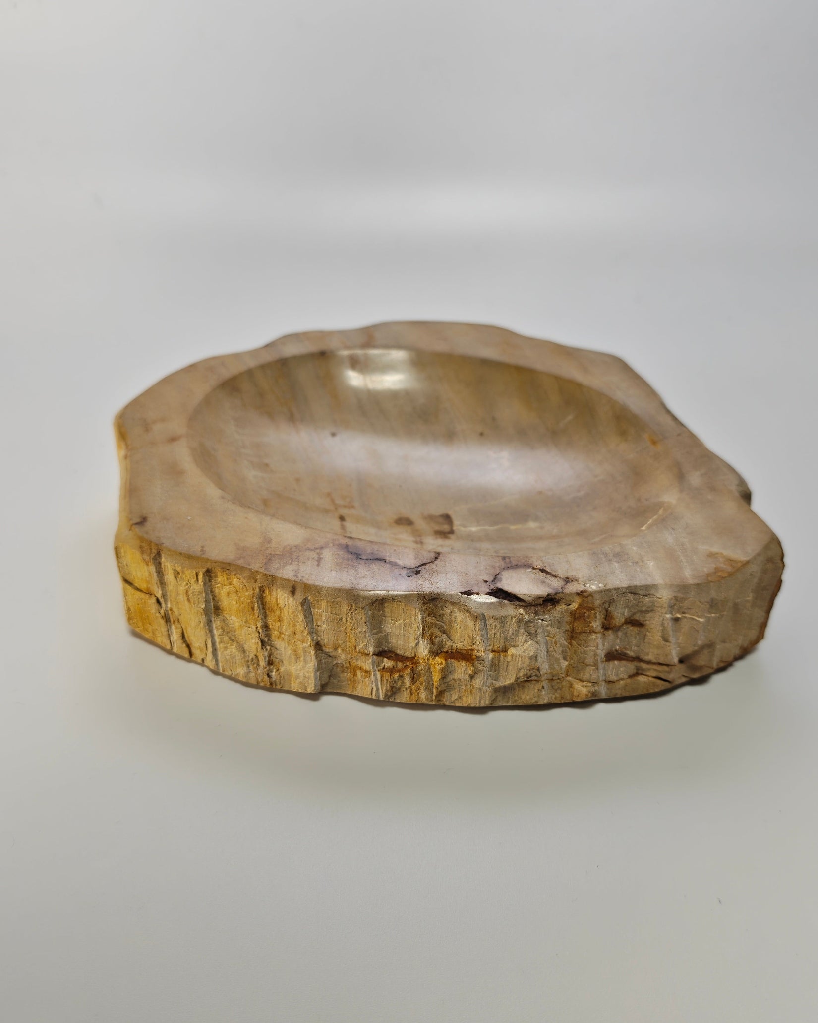 Petrified Wood Tray 003