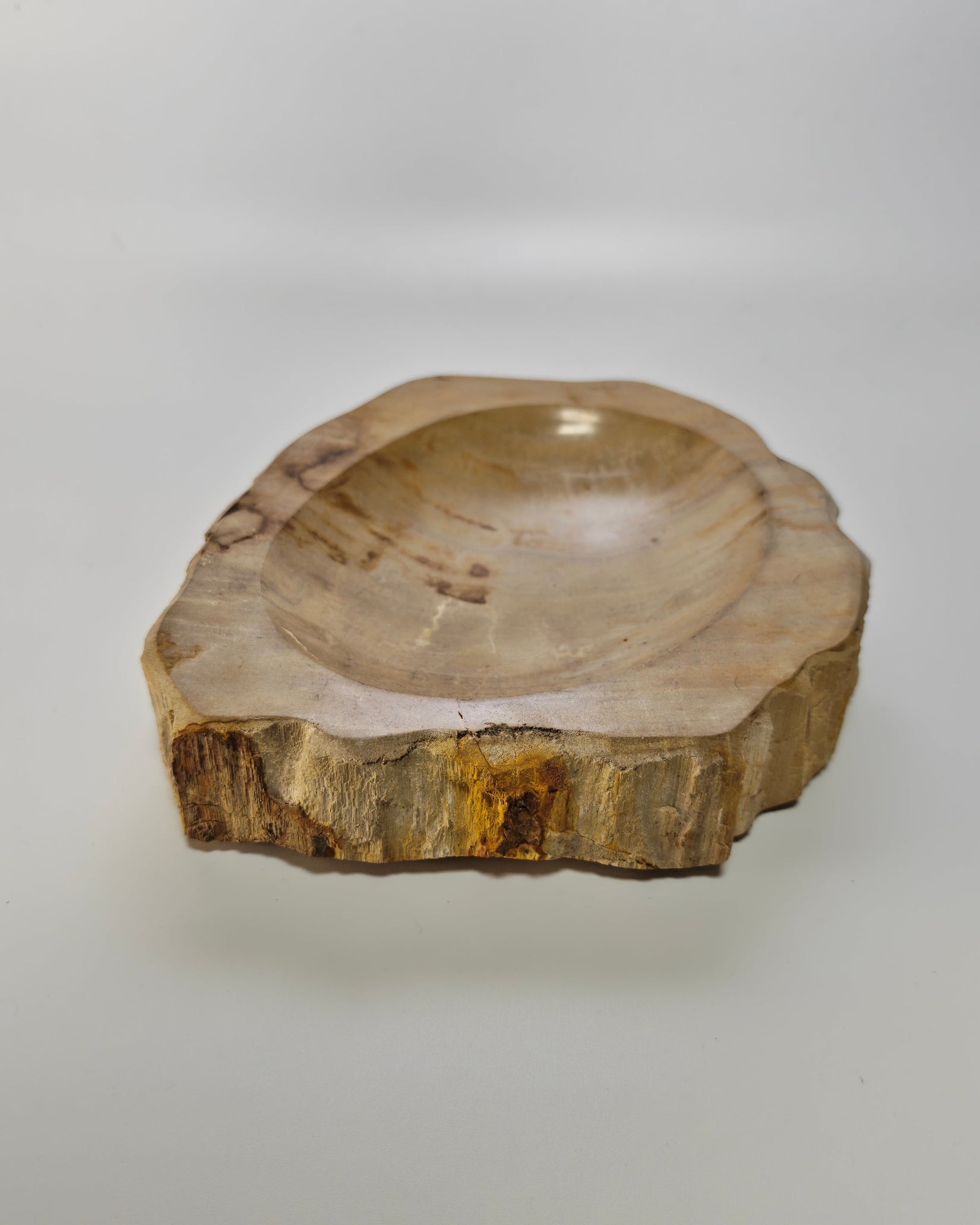 Petrified Wood Tray 003