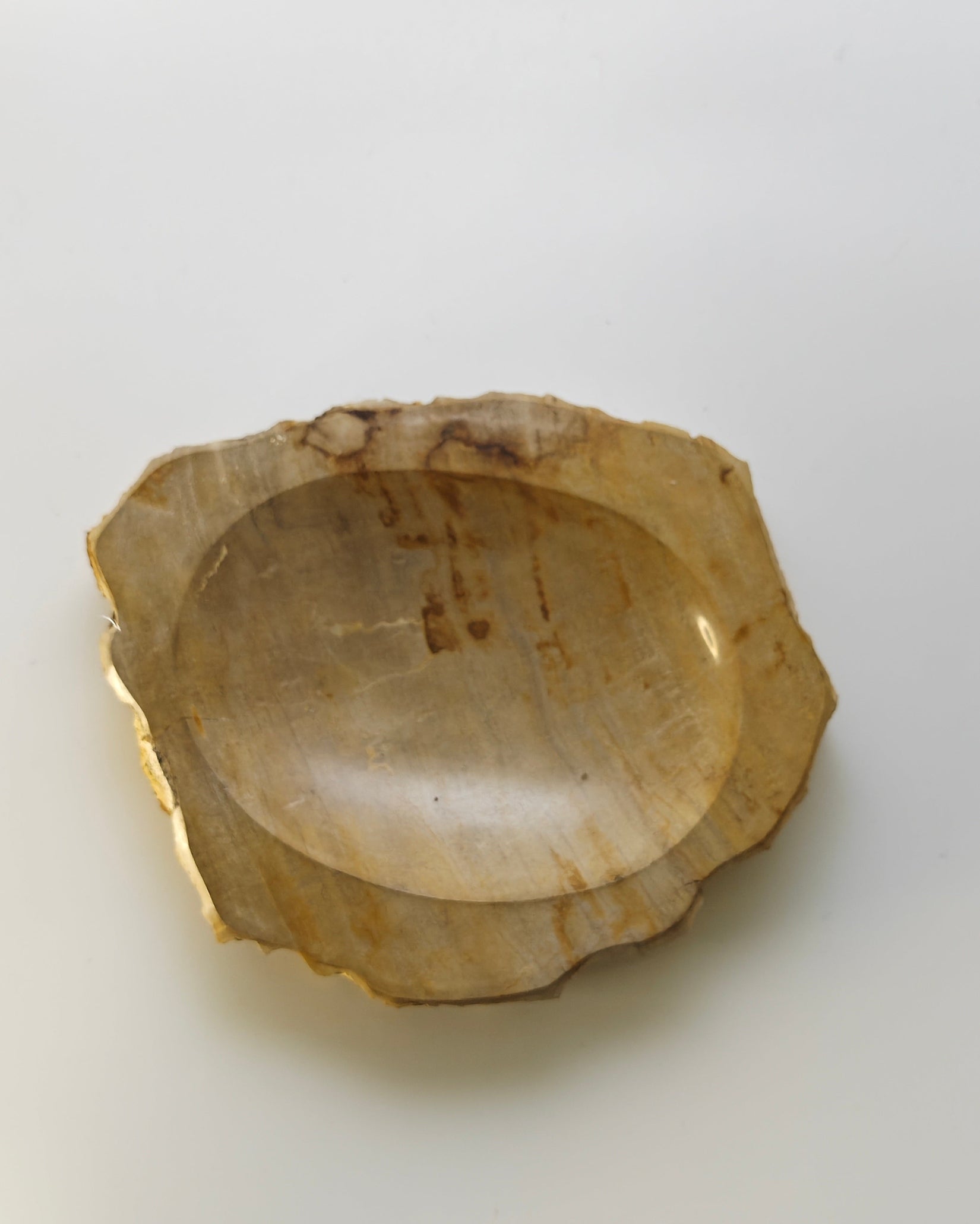 Petrified Wood Tray 003