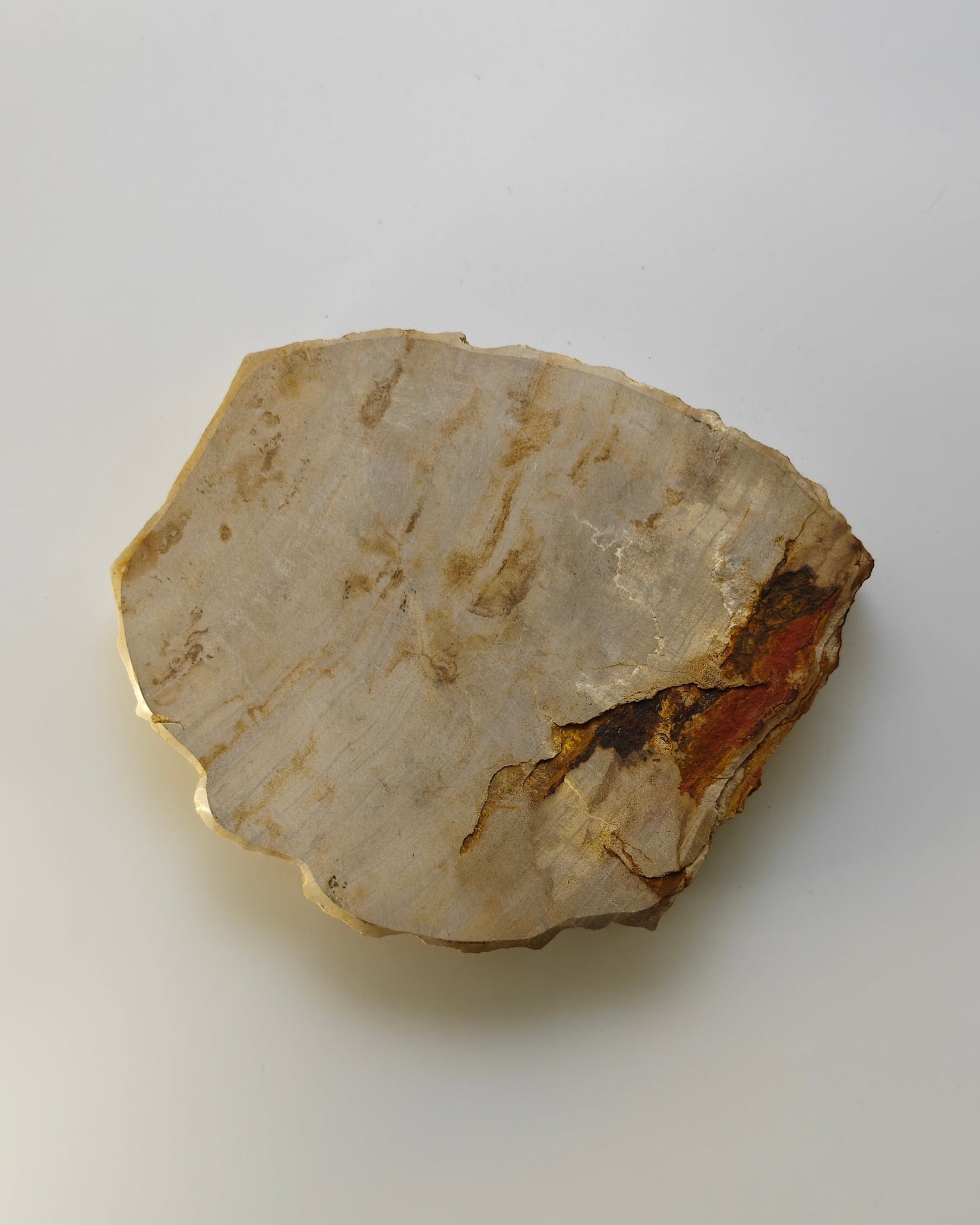 Petrified Wood Tray 003