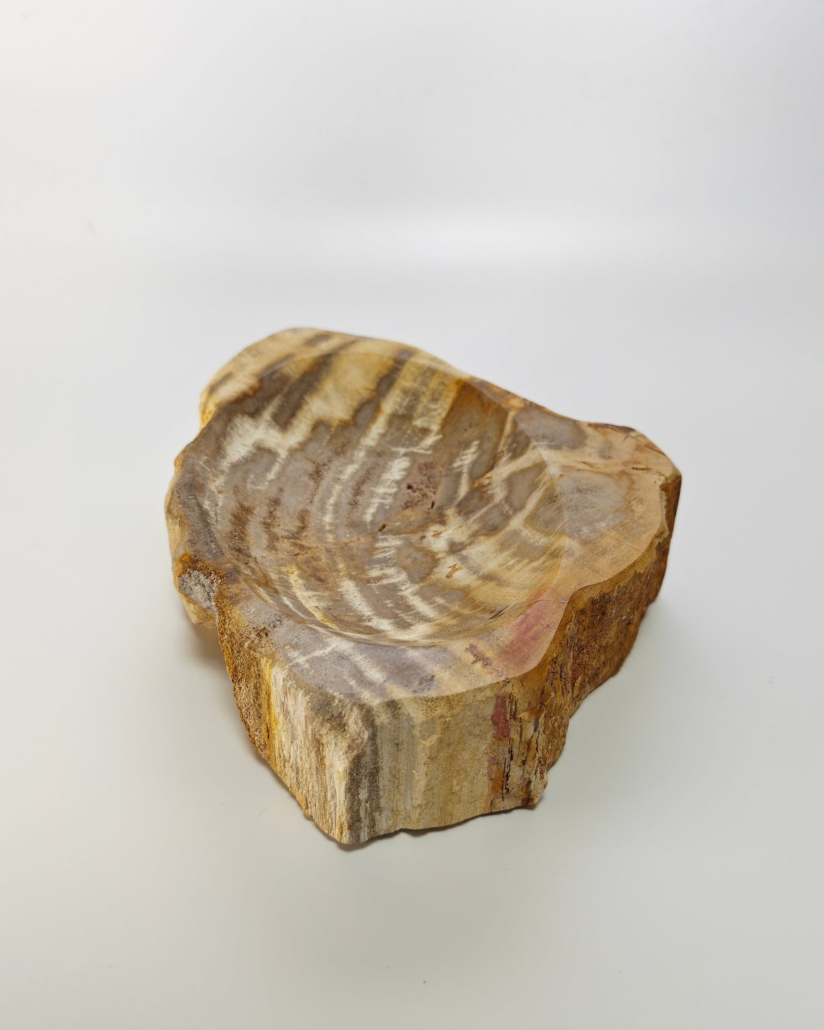 Petrified Wood Tray 004