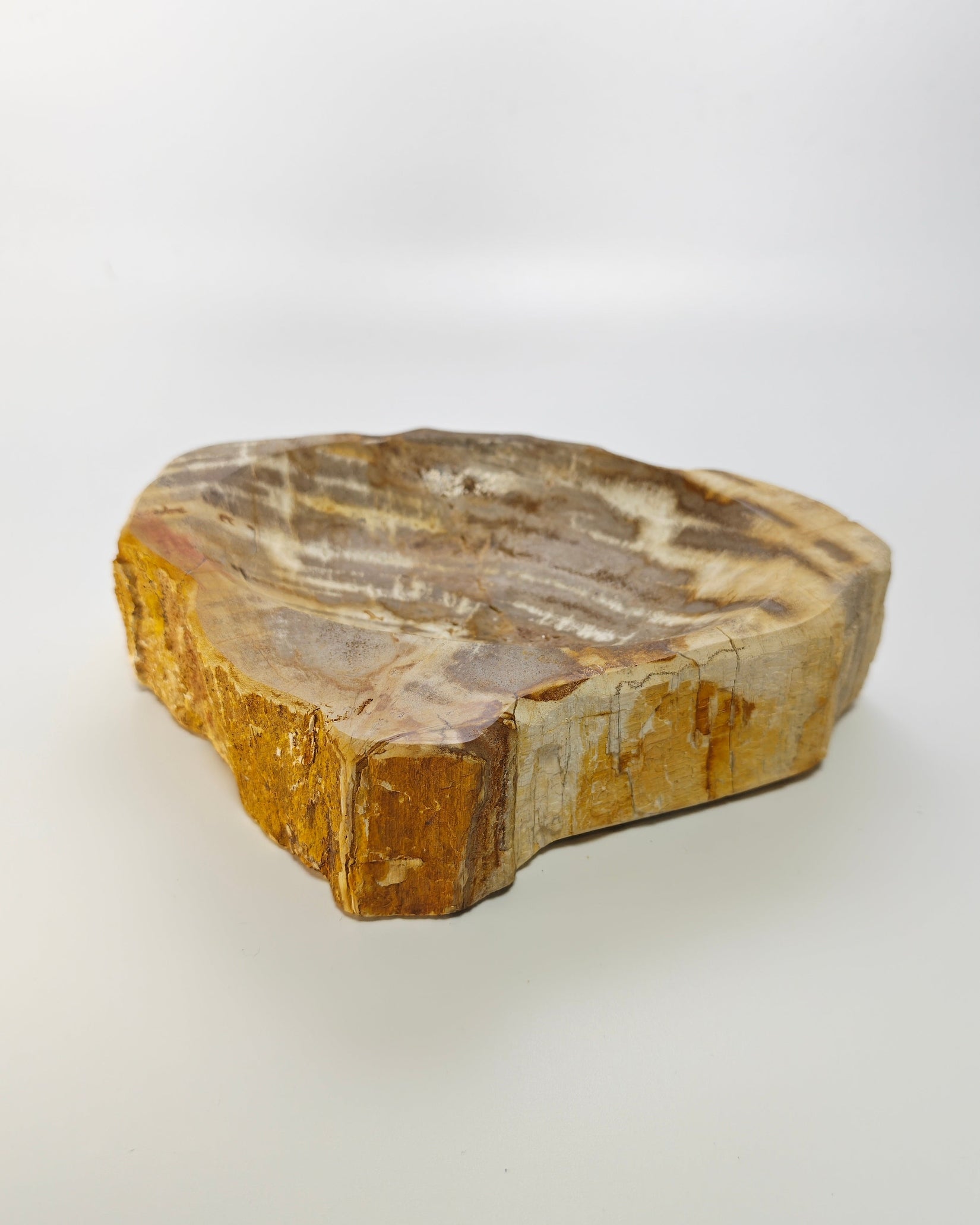 Petrified Wood Tray 004
