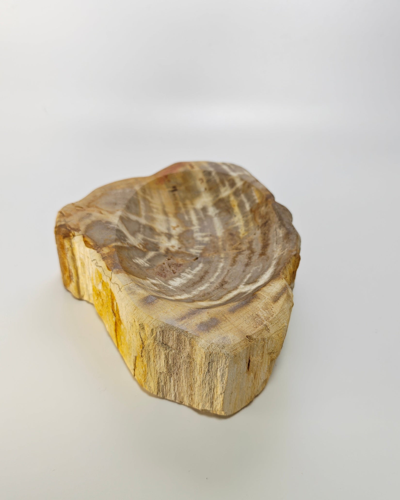 Petrified Wood Tray 004