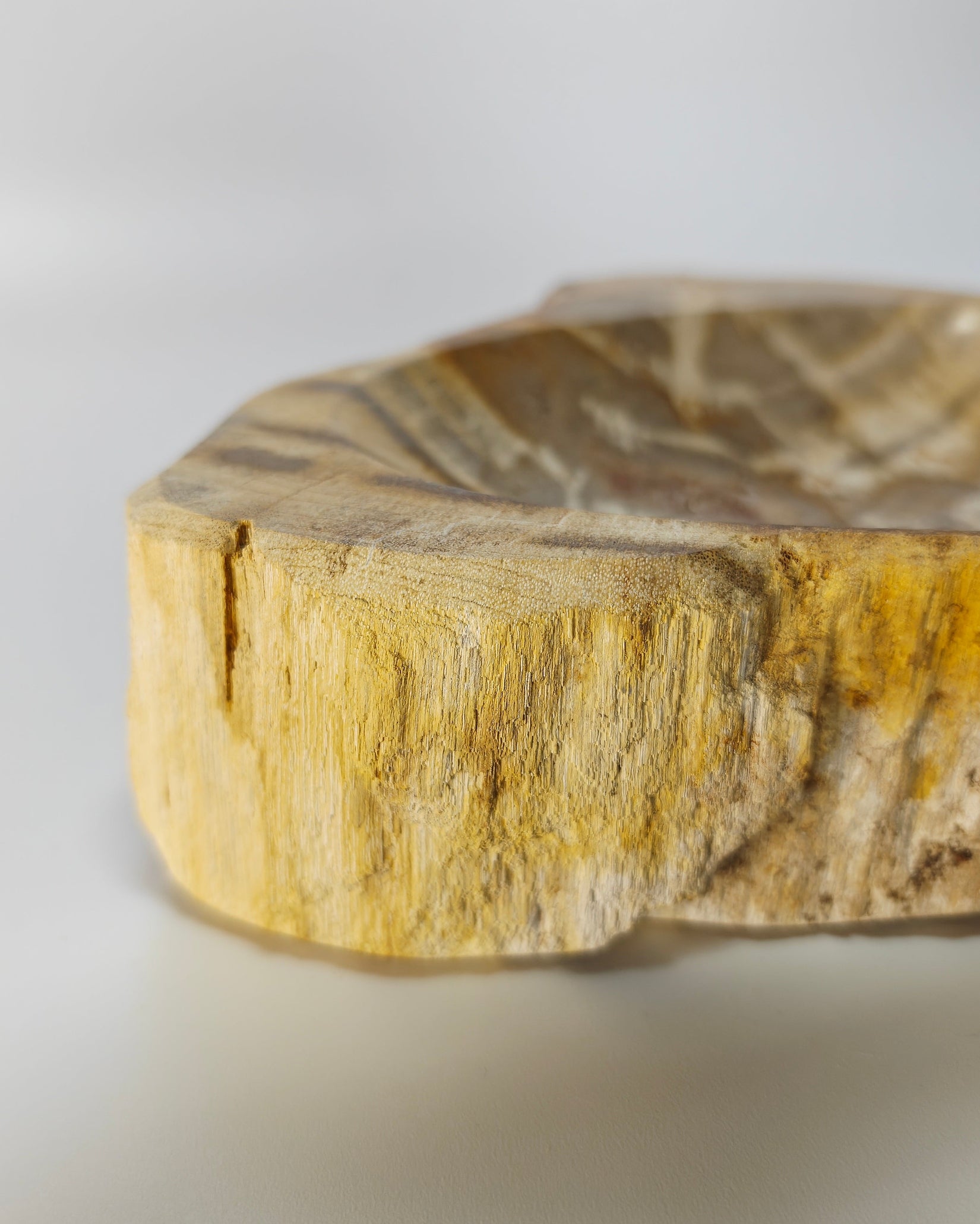 Petrified Wood Tray 004