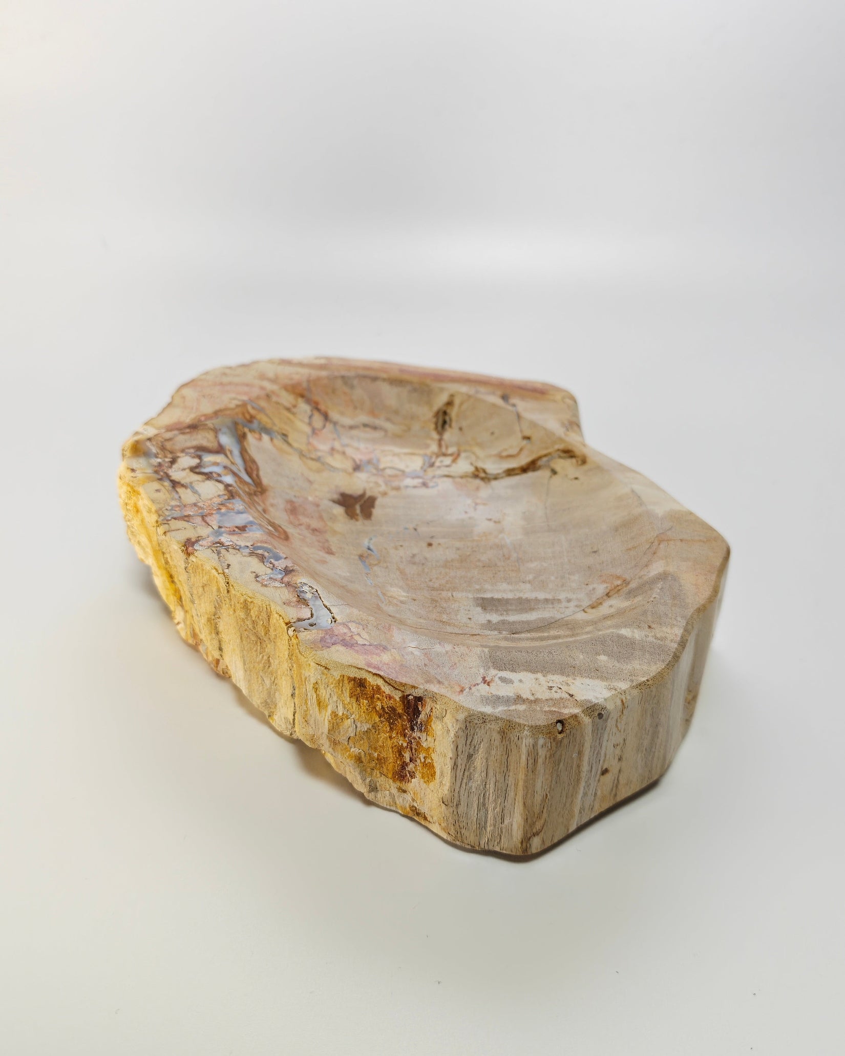 Petrified Wood Tray 005