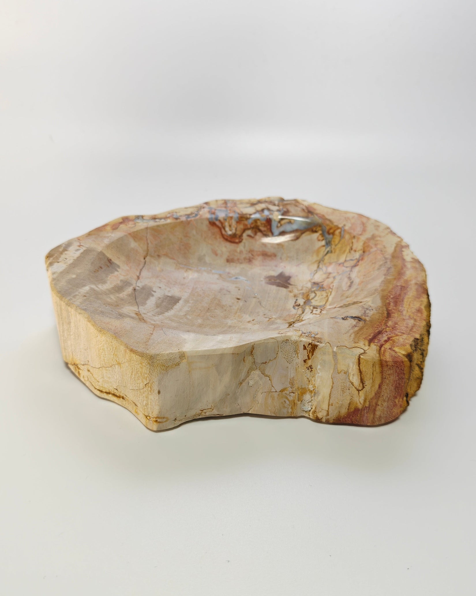 Petrified Wood Tray 005