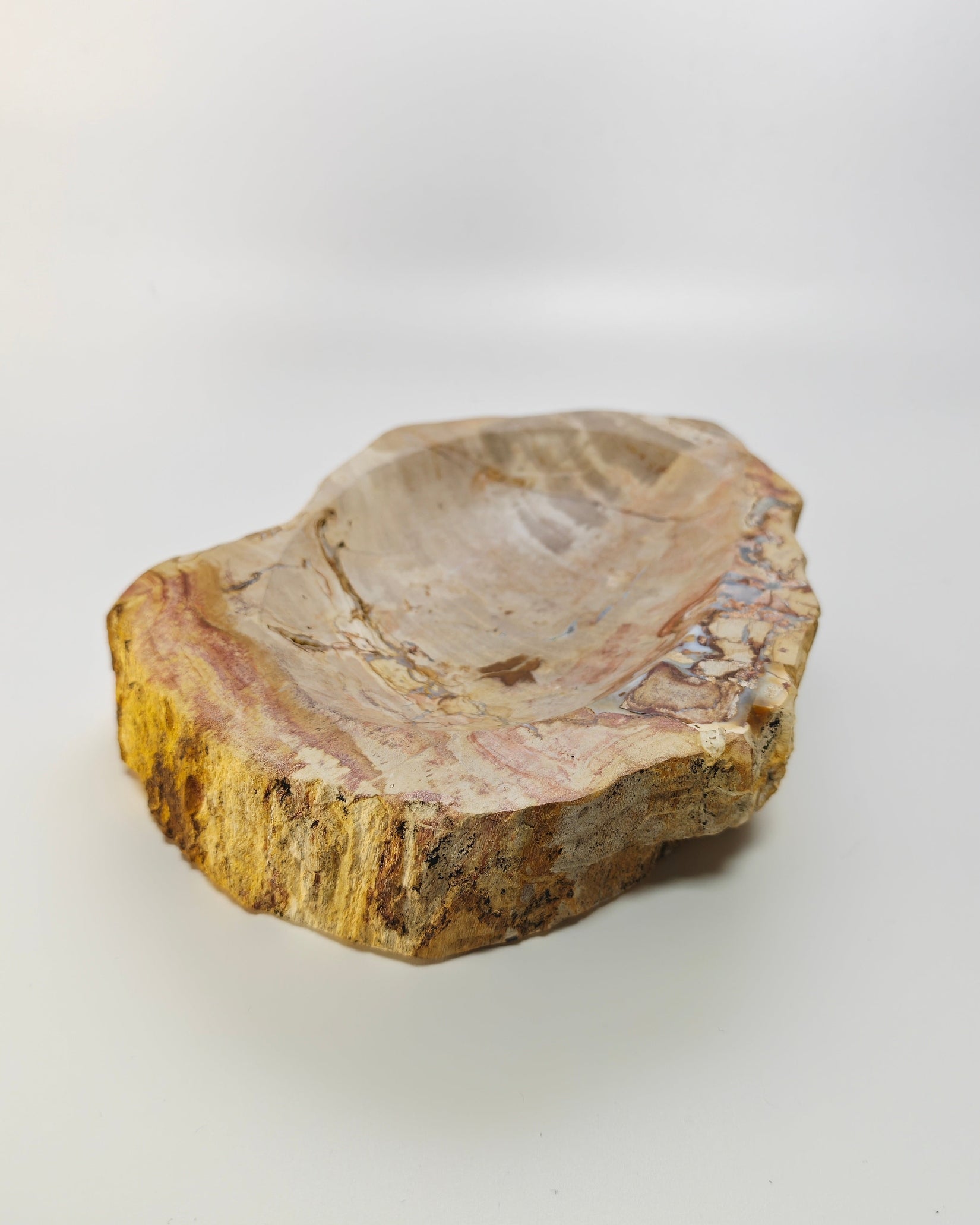 Petrified Wood Tray 005