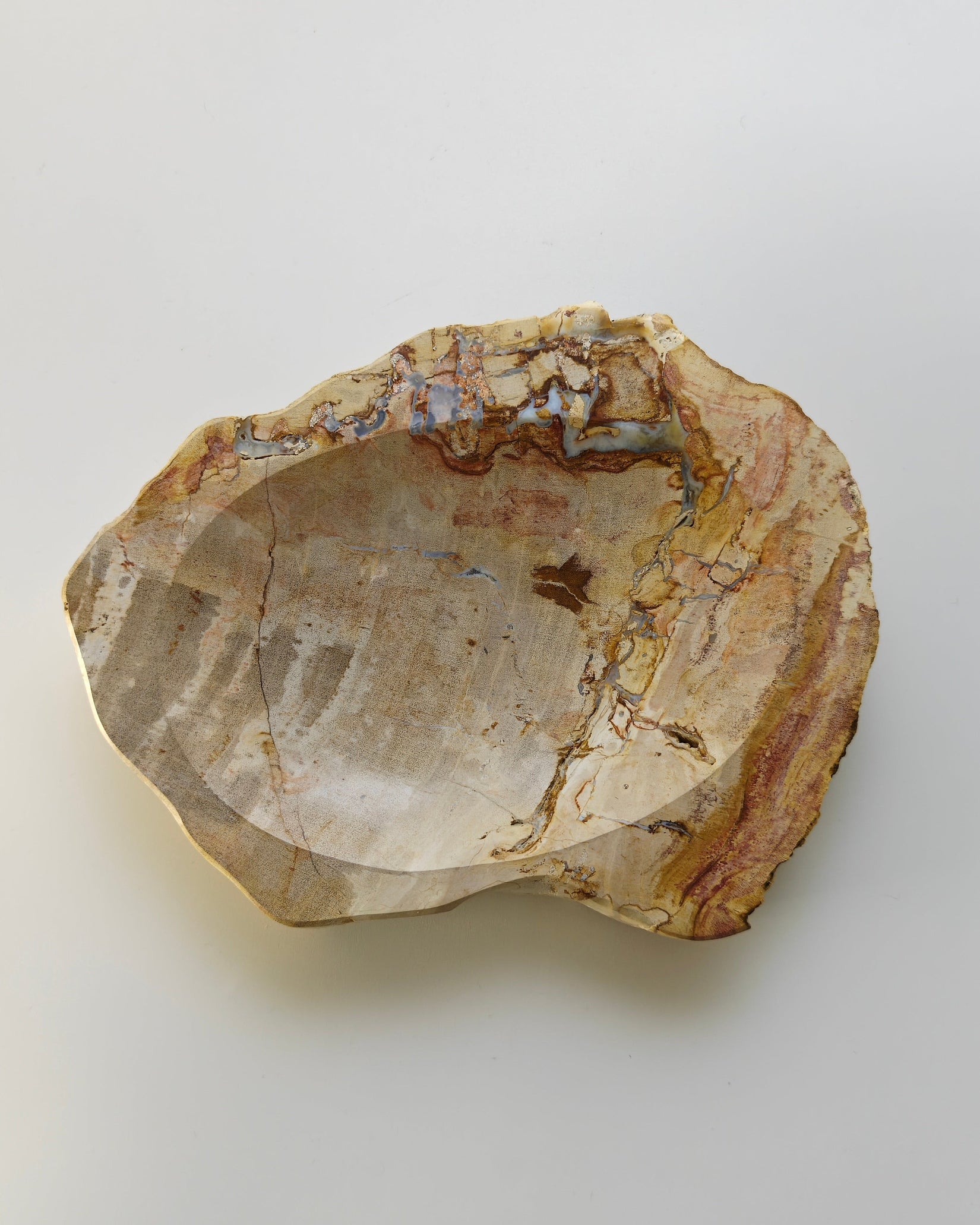 Petrified Wood Tray 005