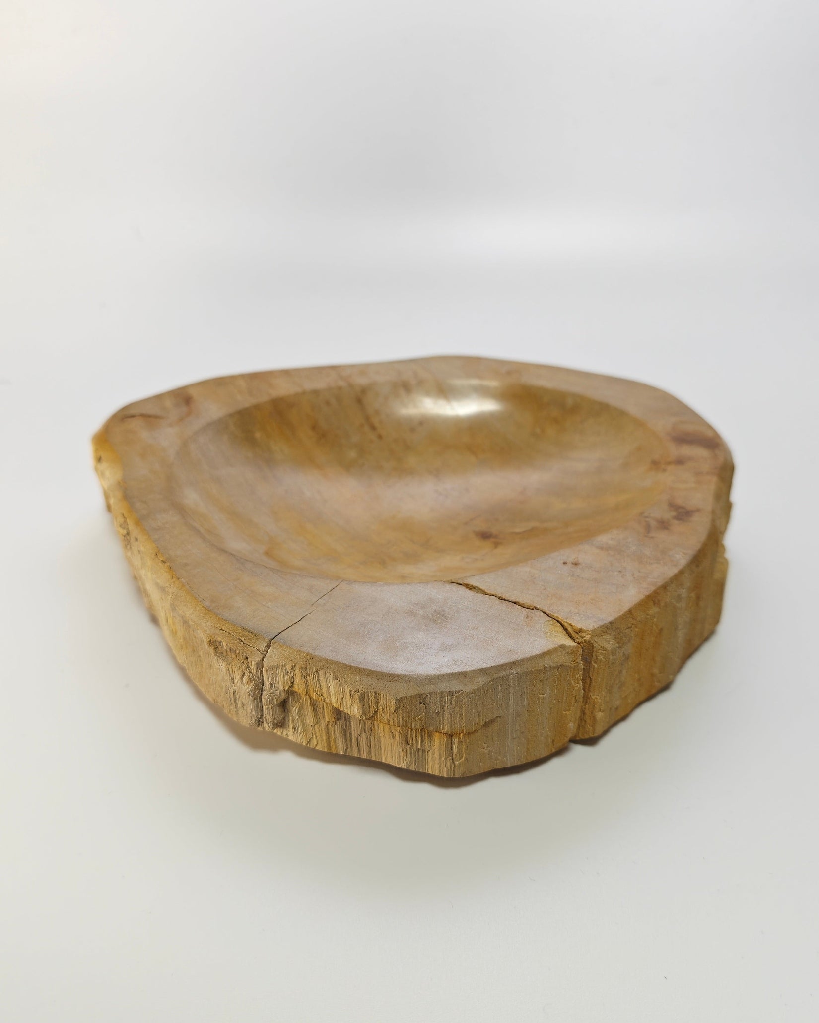 Petrified Wood Tray 006