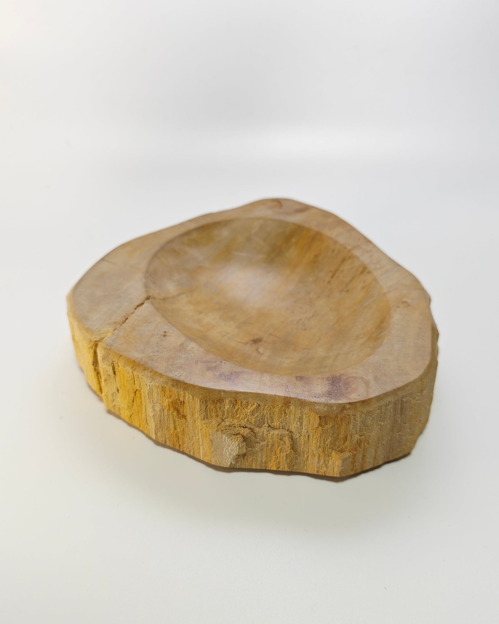 Petrified Wood Tray 006