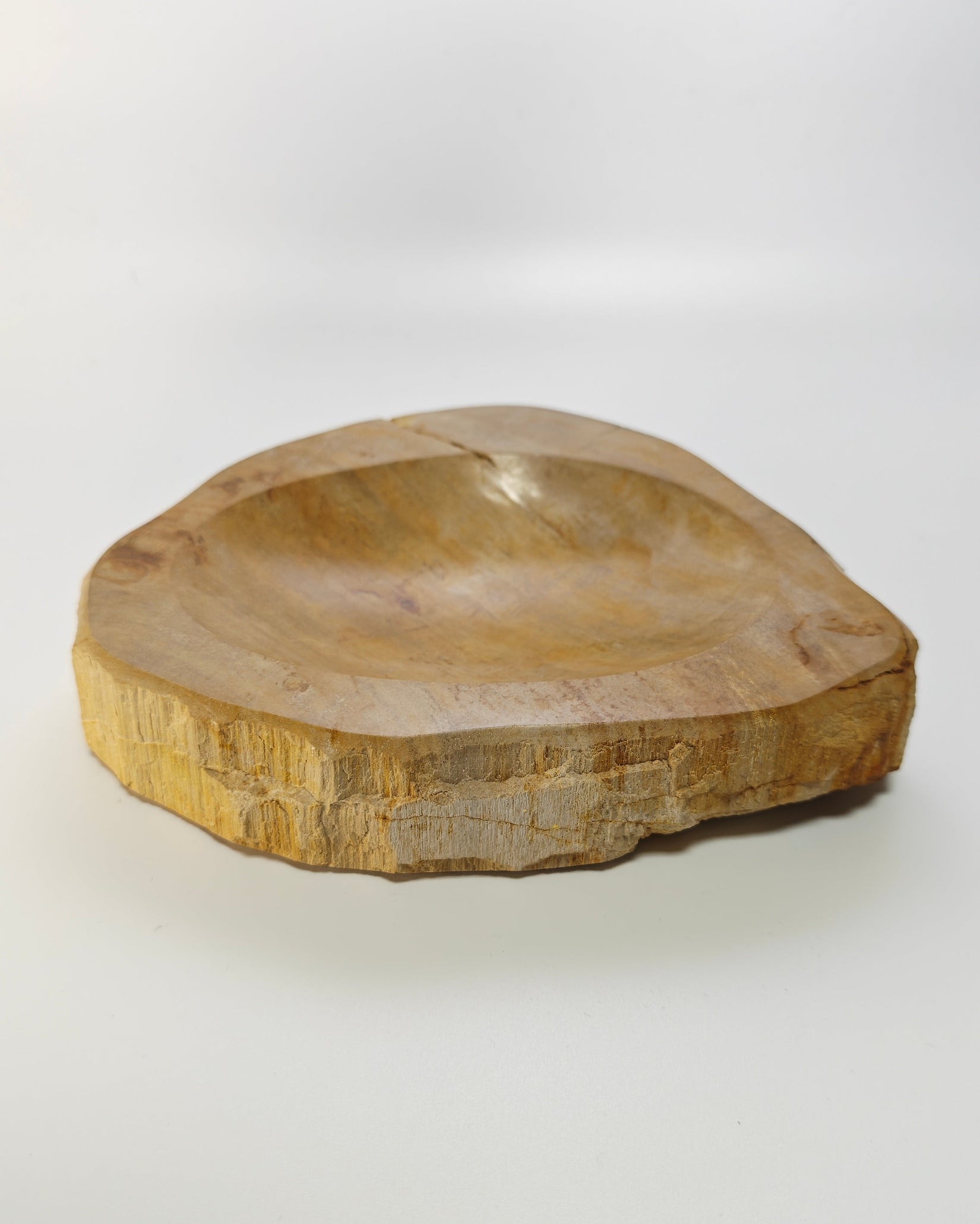 Petrified Wood Tray 006