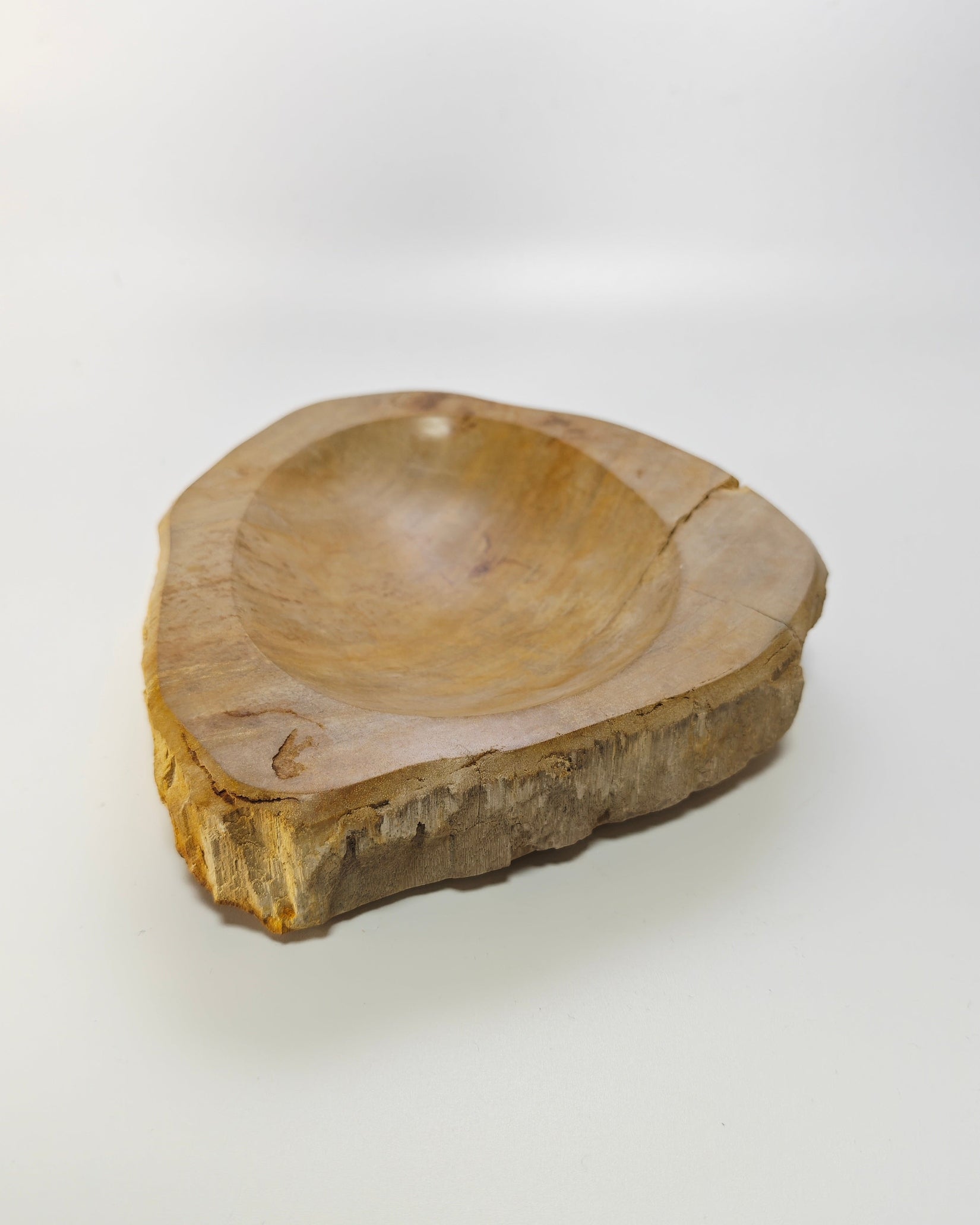 Petrified Wood Tray 006