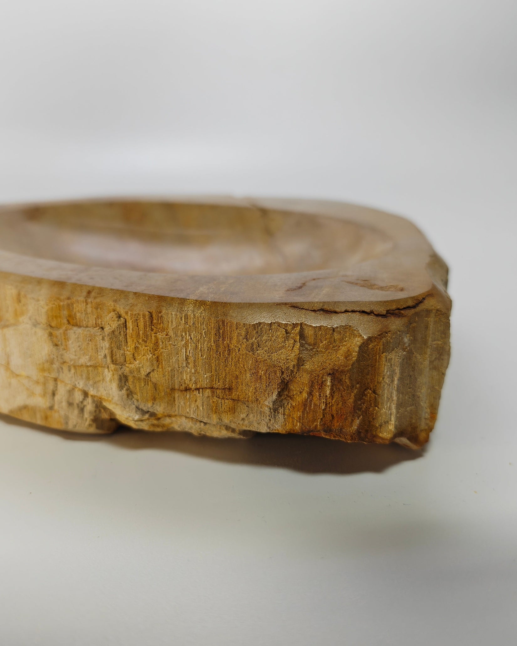 Petrified Wood Tray 006