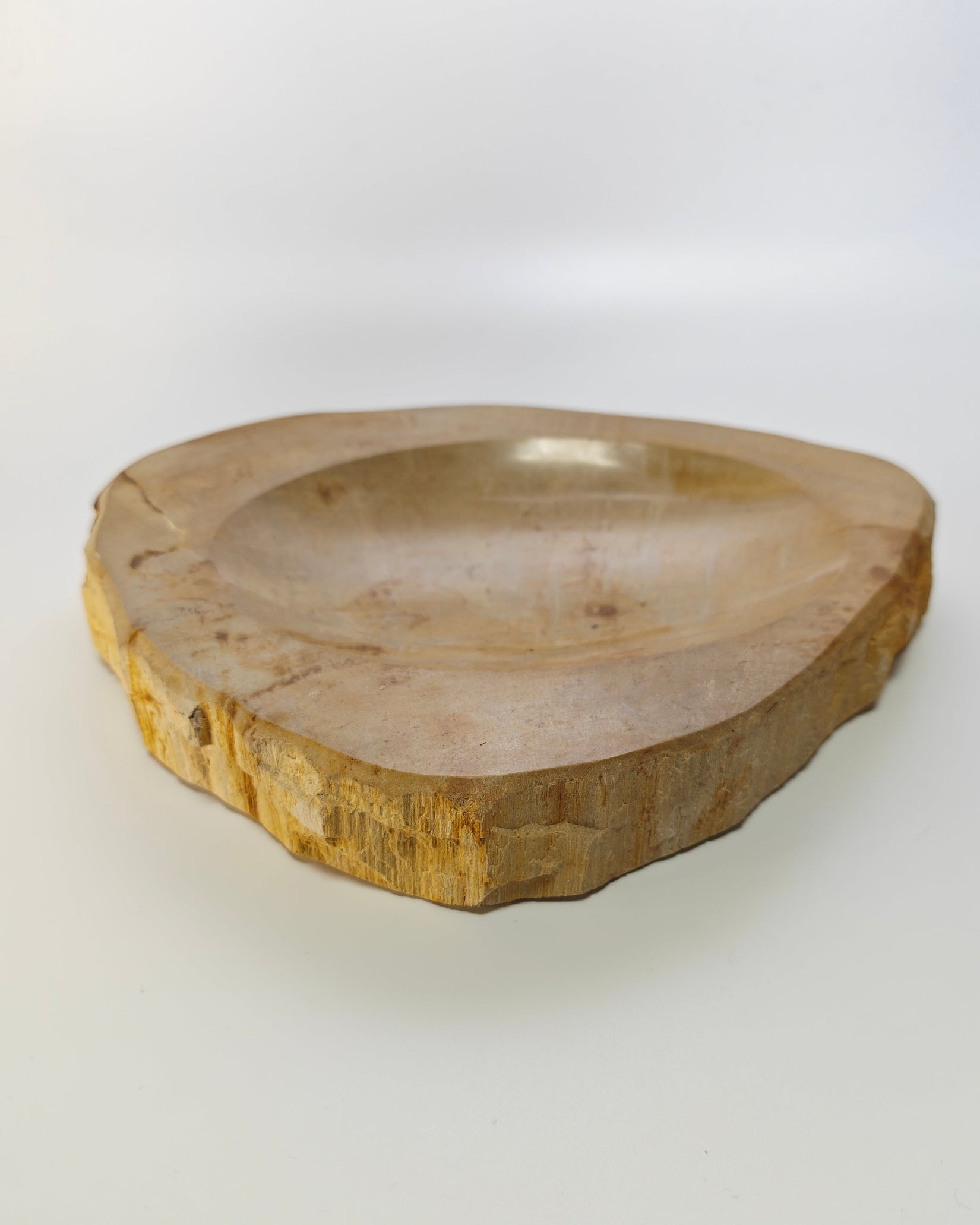 Petrified Wood Tray 007