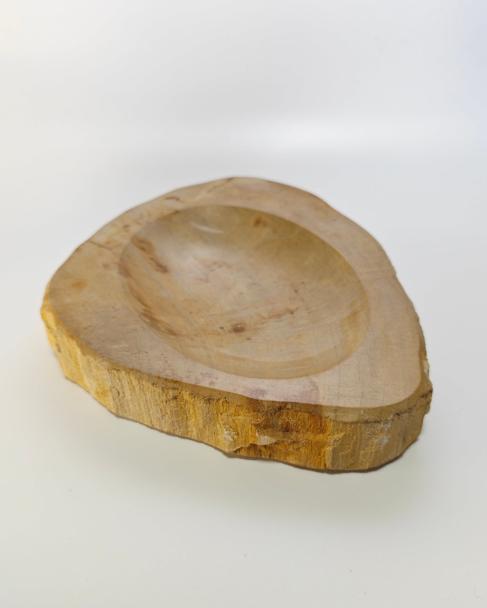 Petrified Wood Tray 007