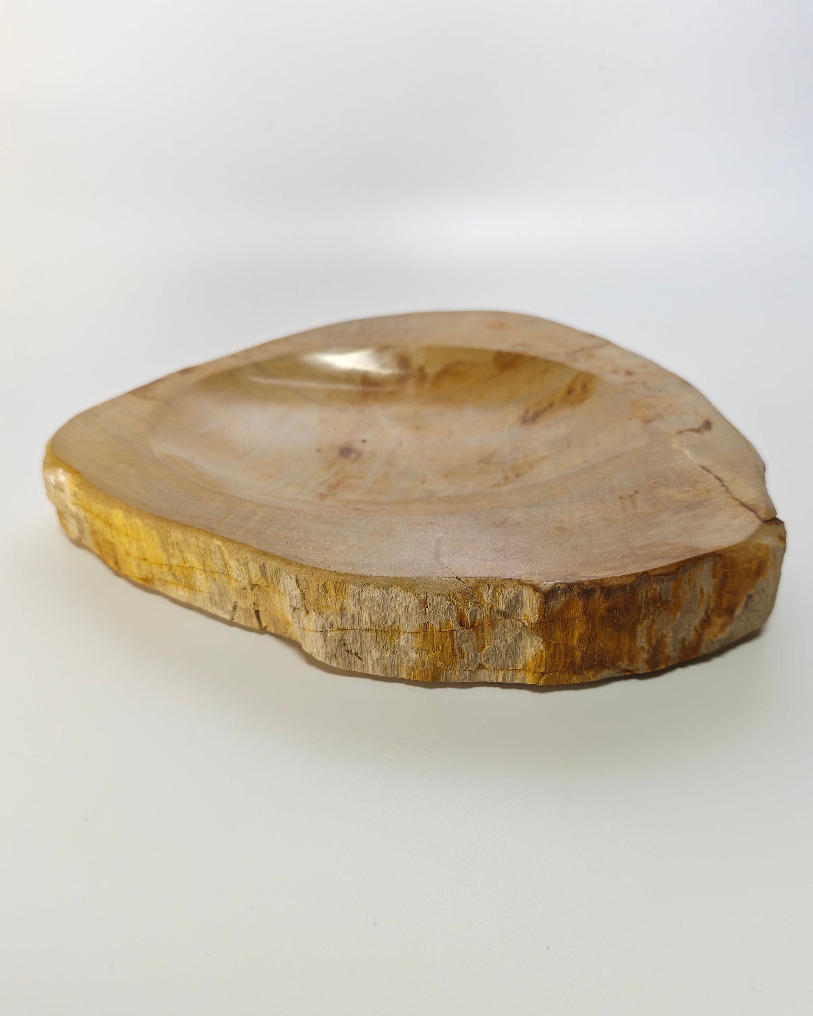 Petrified Wood Tray 007