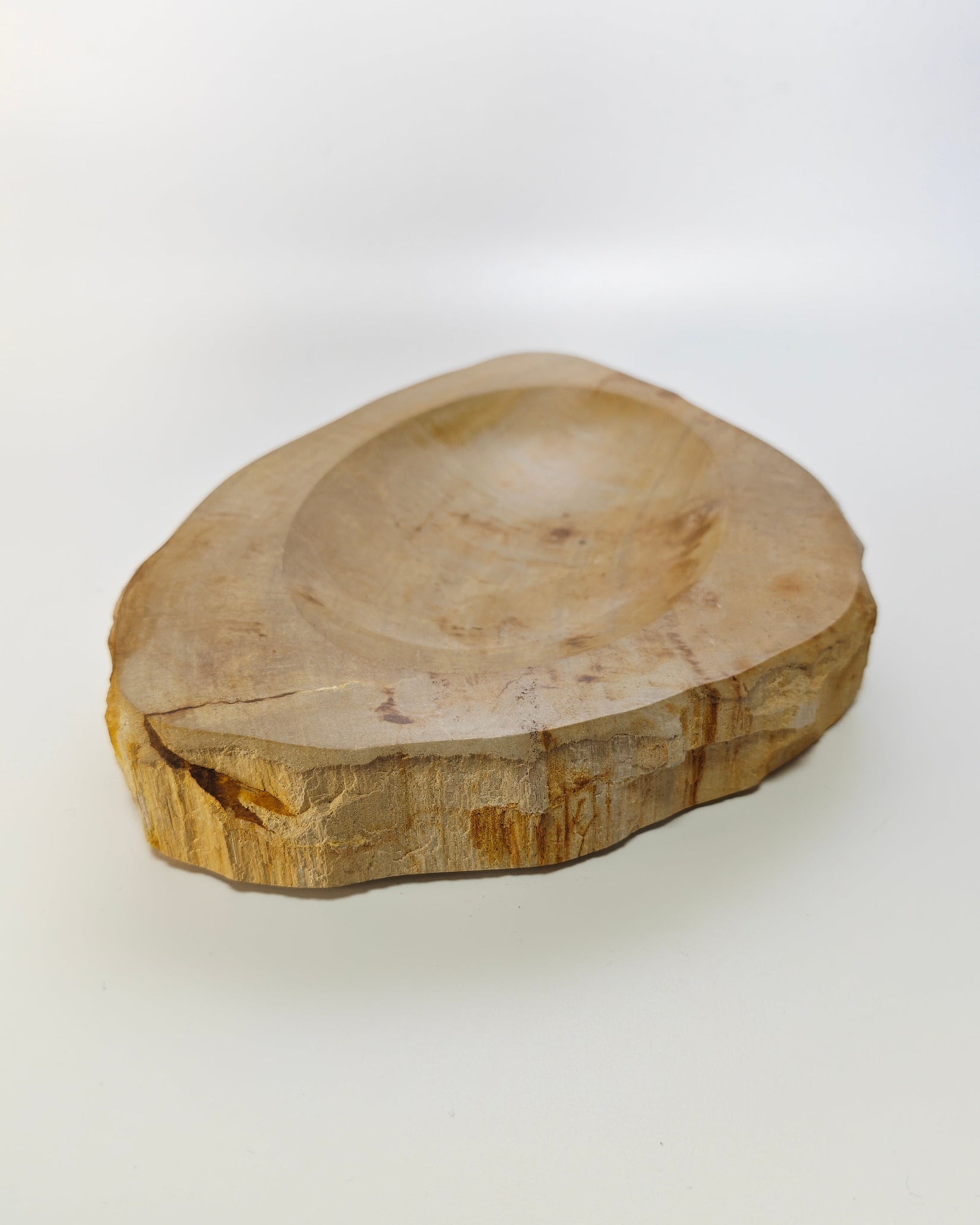 Petrified Wood Tray 007