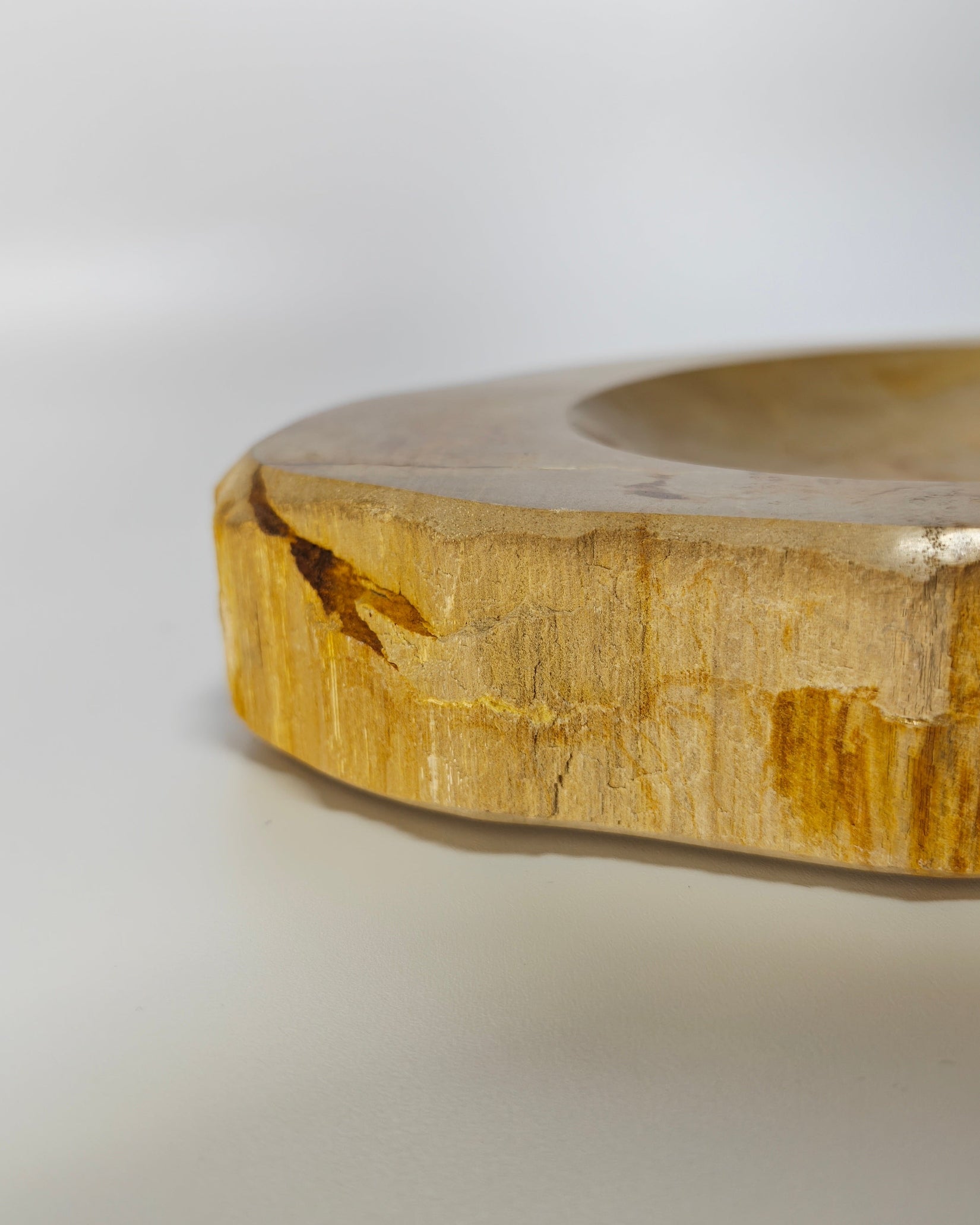 Petrified Wood Tray 007