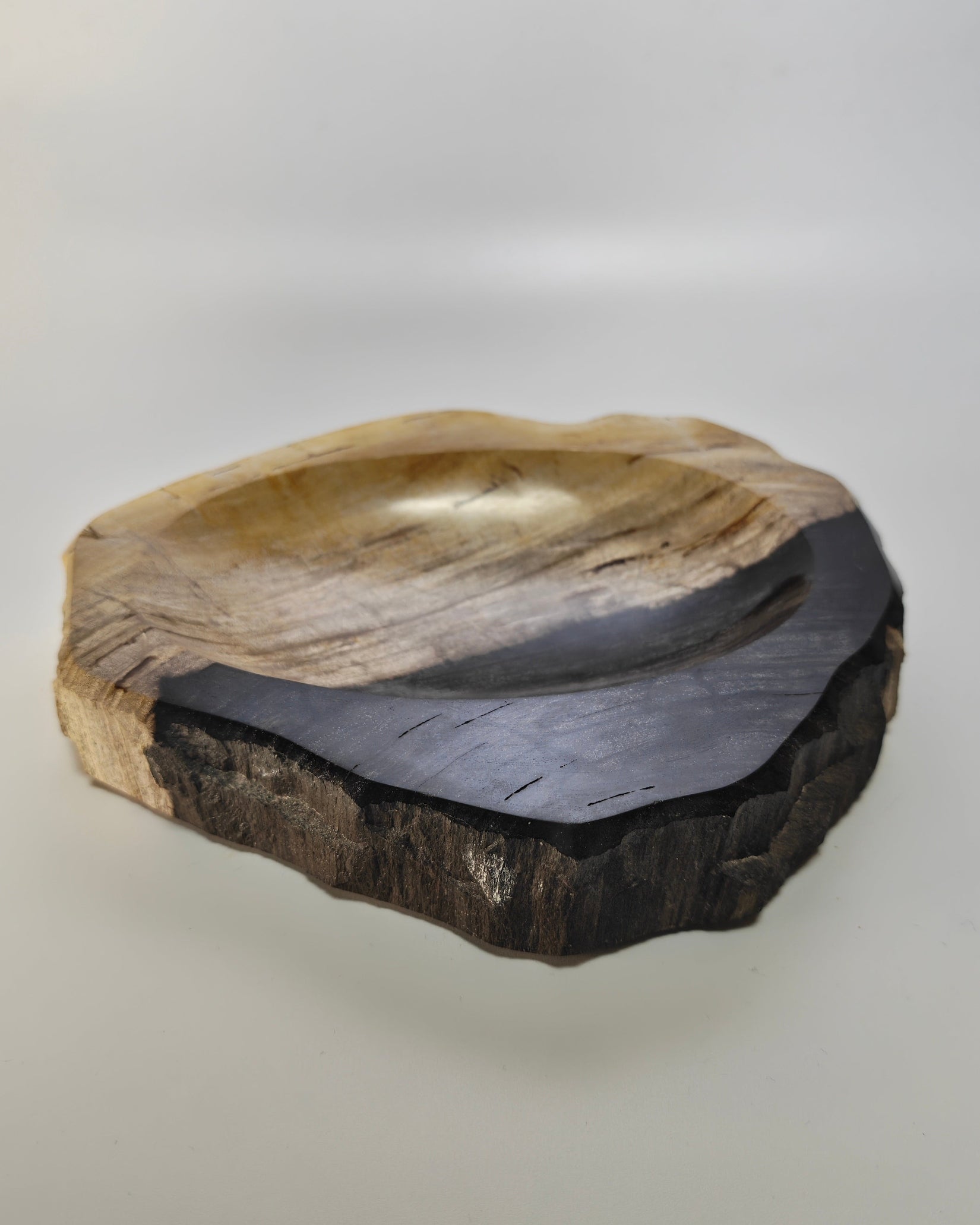 Petrified Wood Tray 008