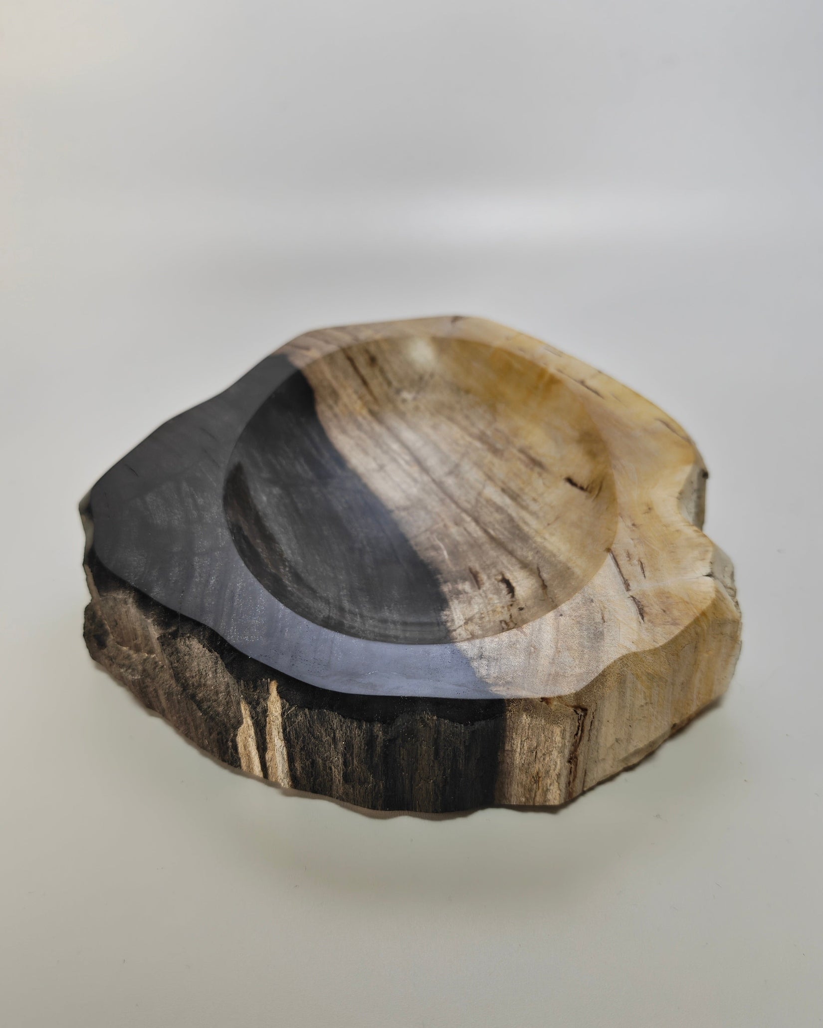 Petrified Wood Tray 008