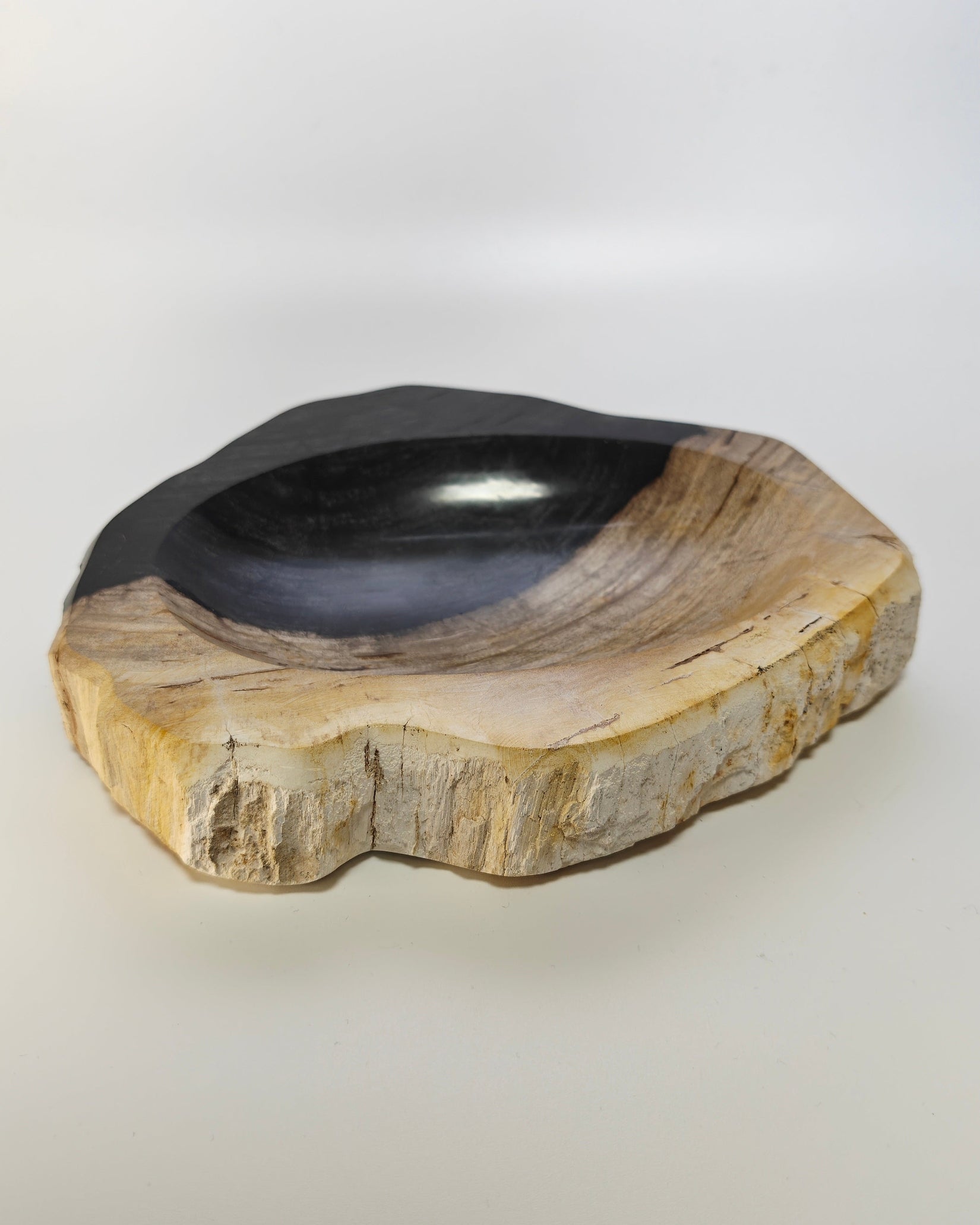 Petrified Wood Tray 008