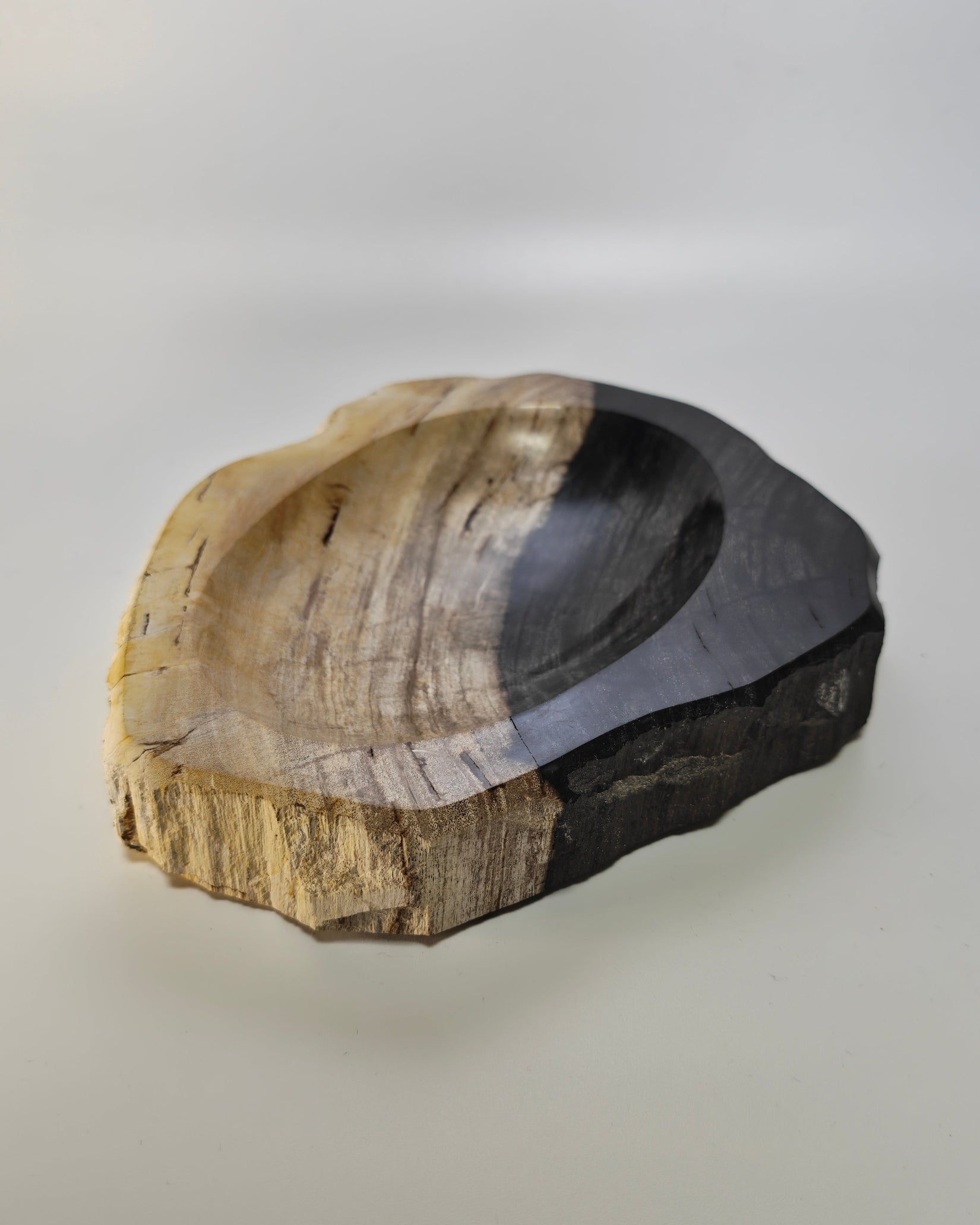 Petrified Wood Tray 008