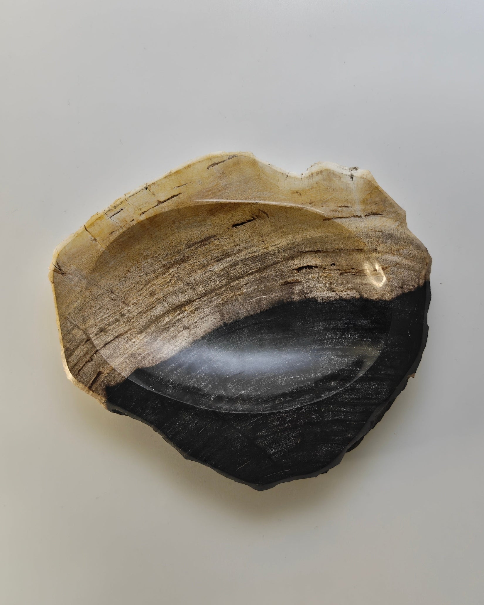 Petrified Wood Tray 008