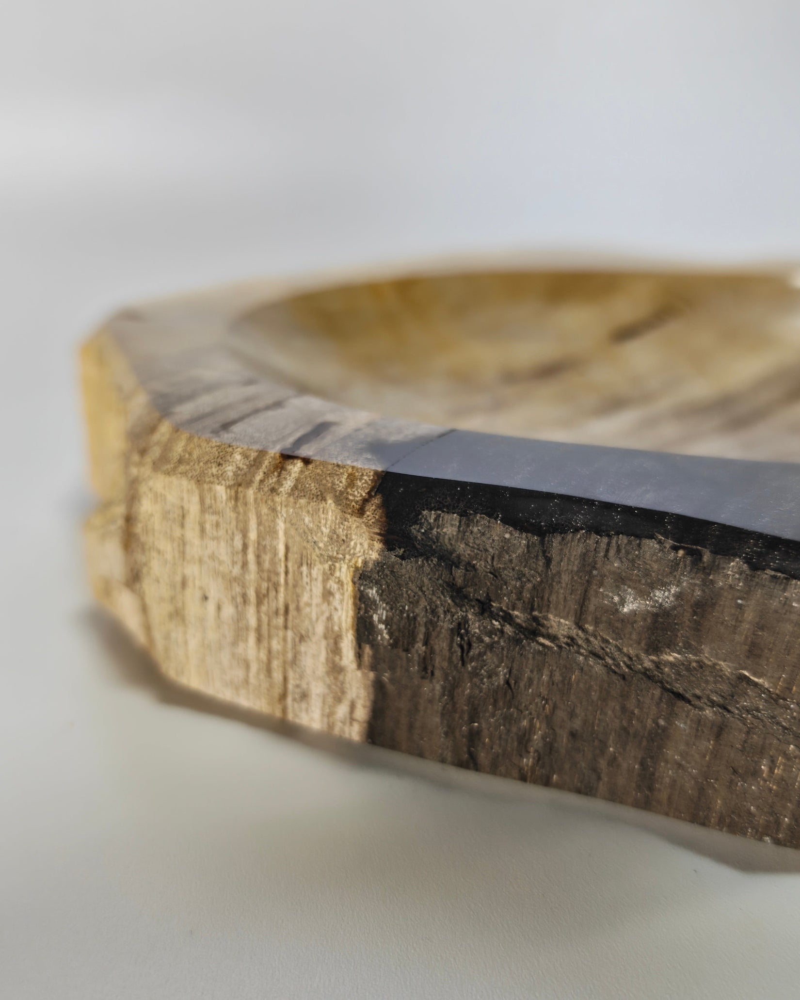 Petrified Wood Tray 008