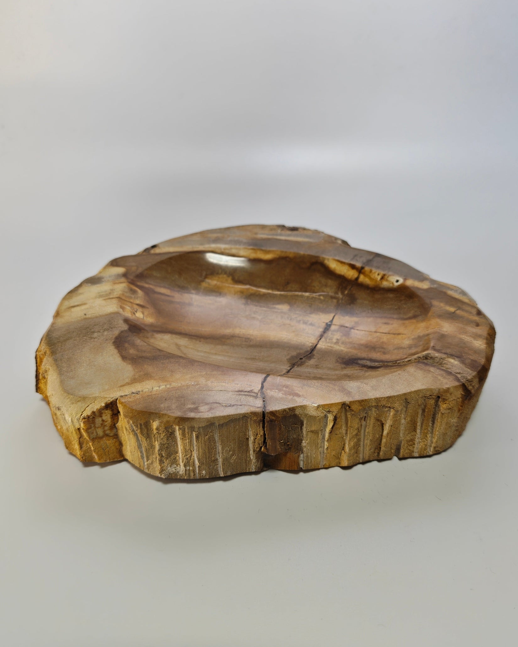 Petrified Wood Tray 009