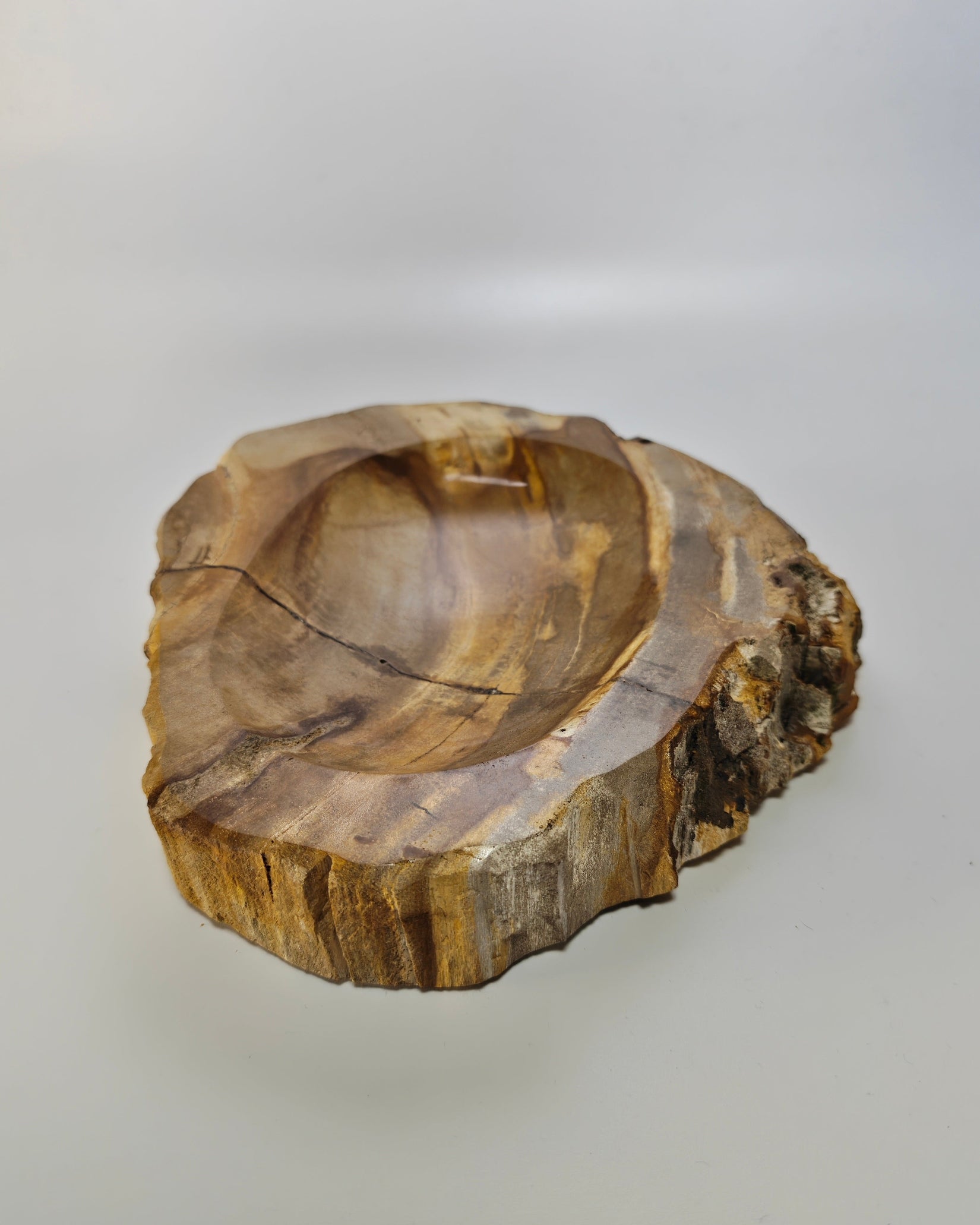 Petrified Wood Tray 009