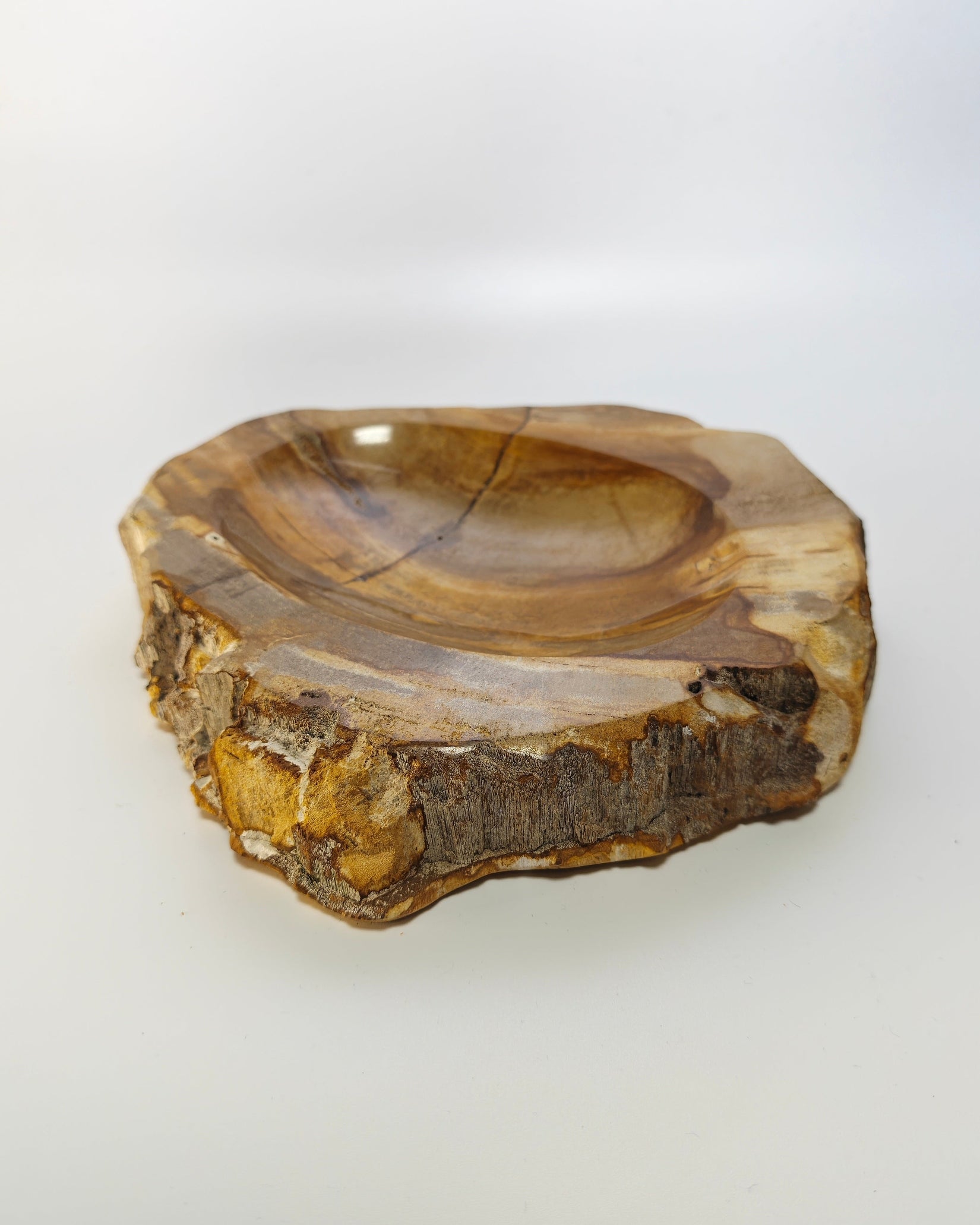 Petrified Wood Tray 009
