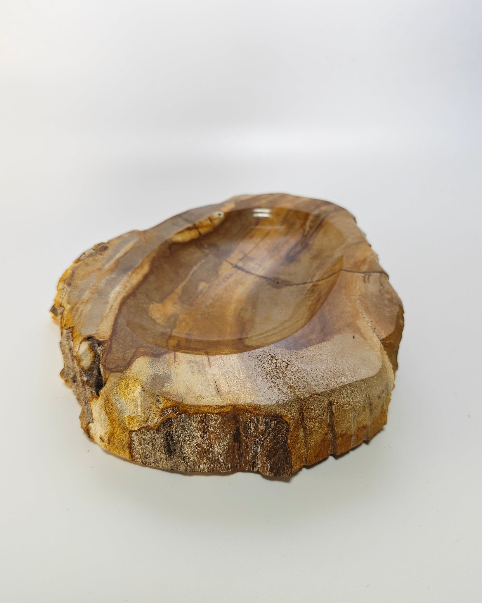 Petrified Wood Tray 009