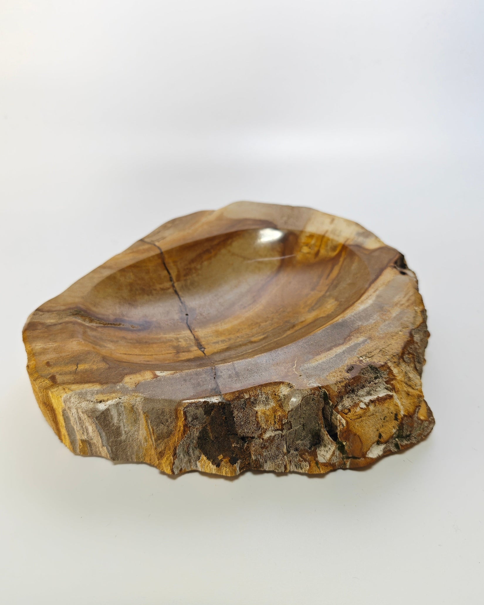 Petrified Wood Tray 009