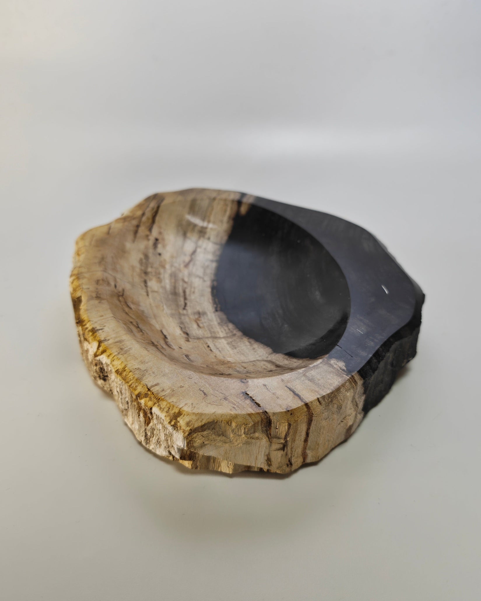 Petrified Wood Tray 010