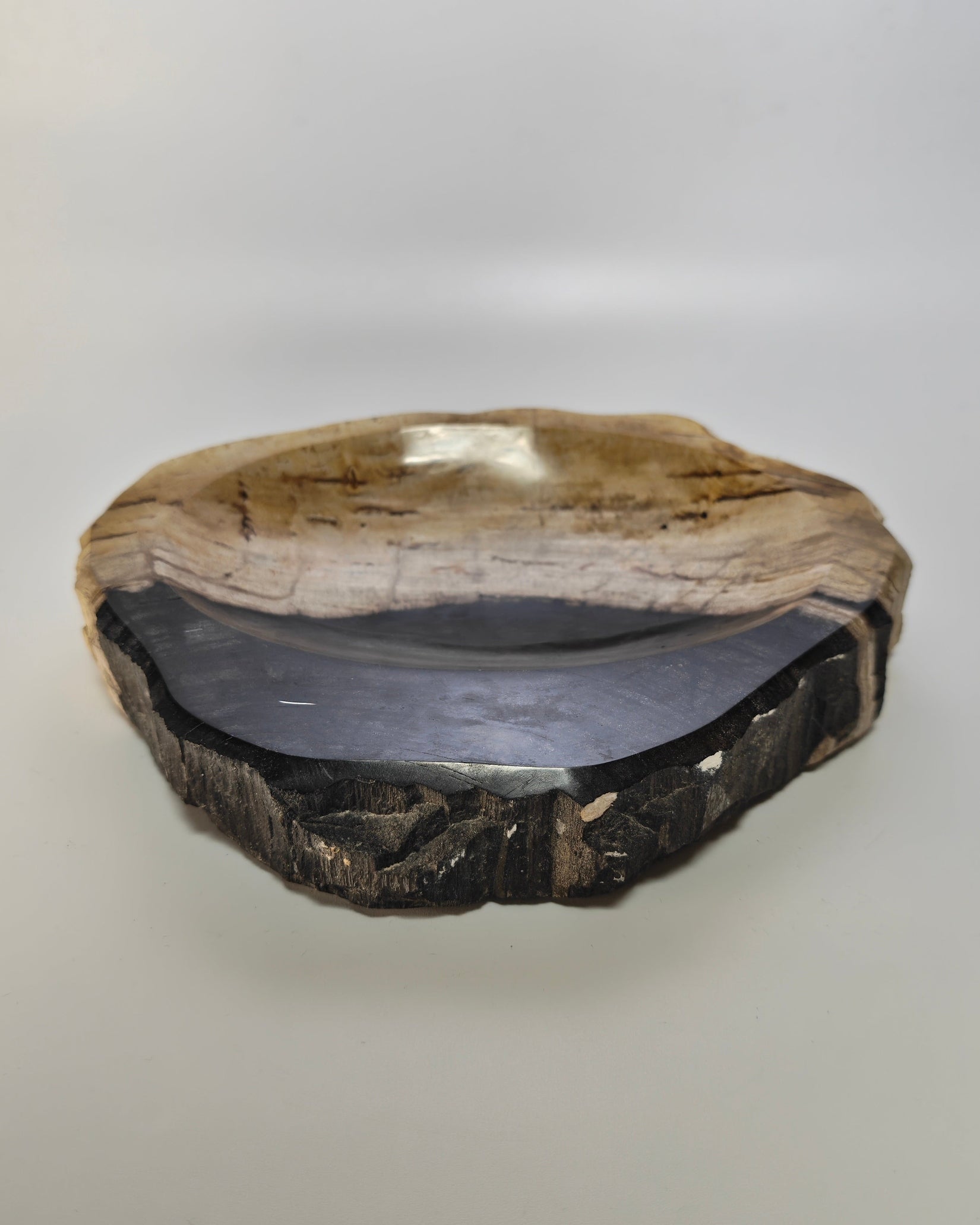 Petrified Wood Tray 010