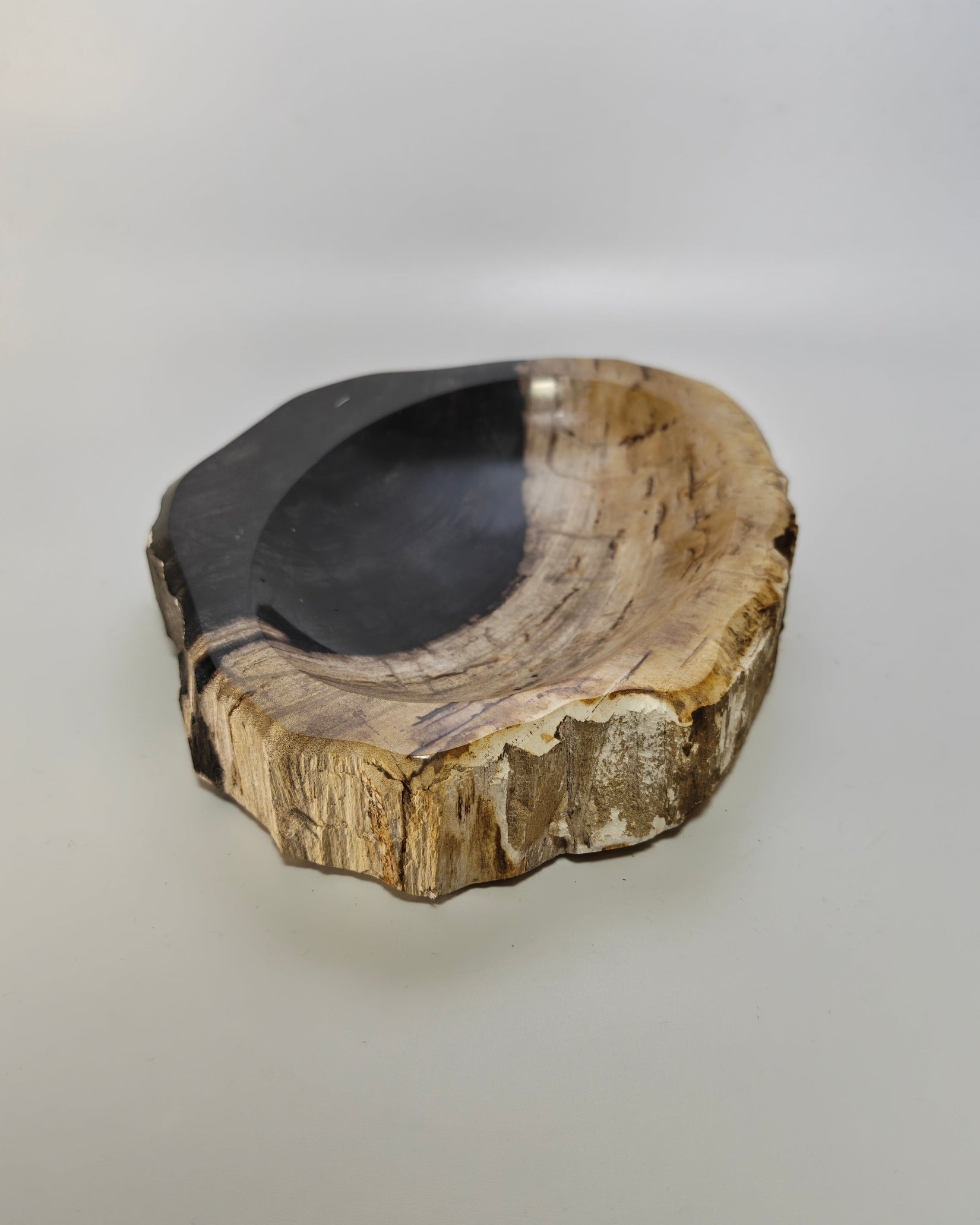 Petrified Wood Tray 010