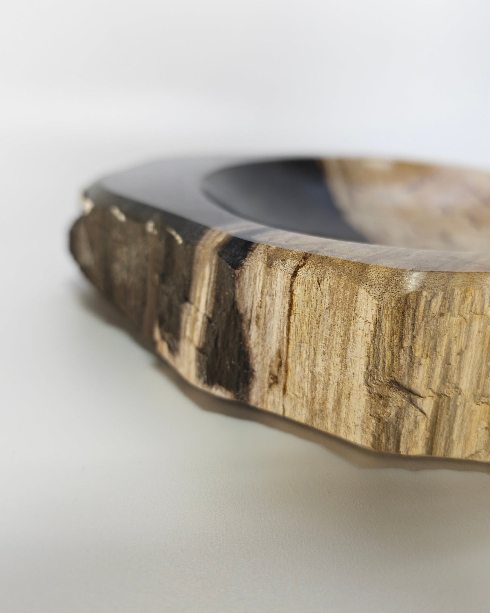 Petrified Wood Tray 010