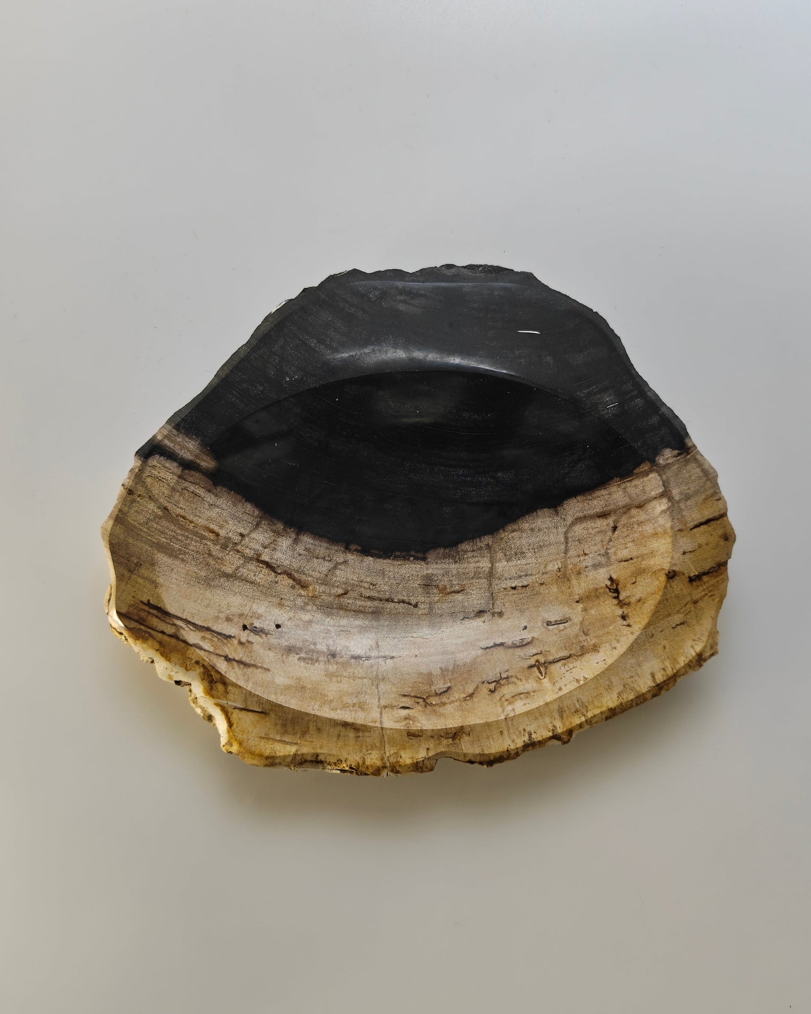 Petrified Wood Tray 010
